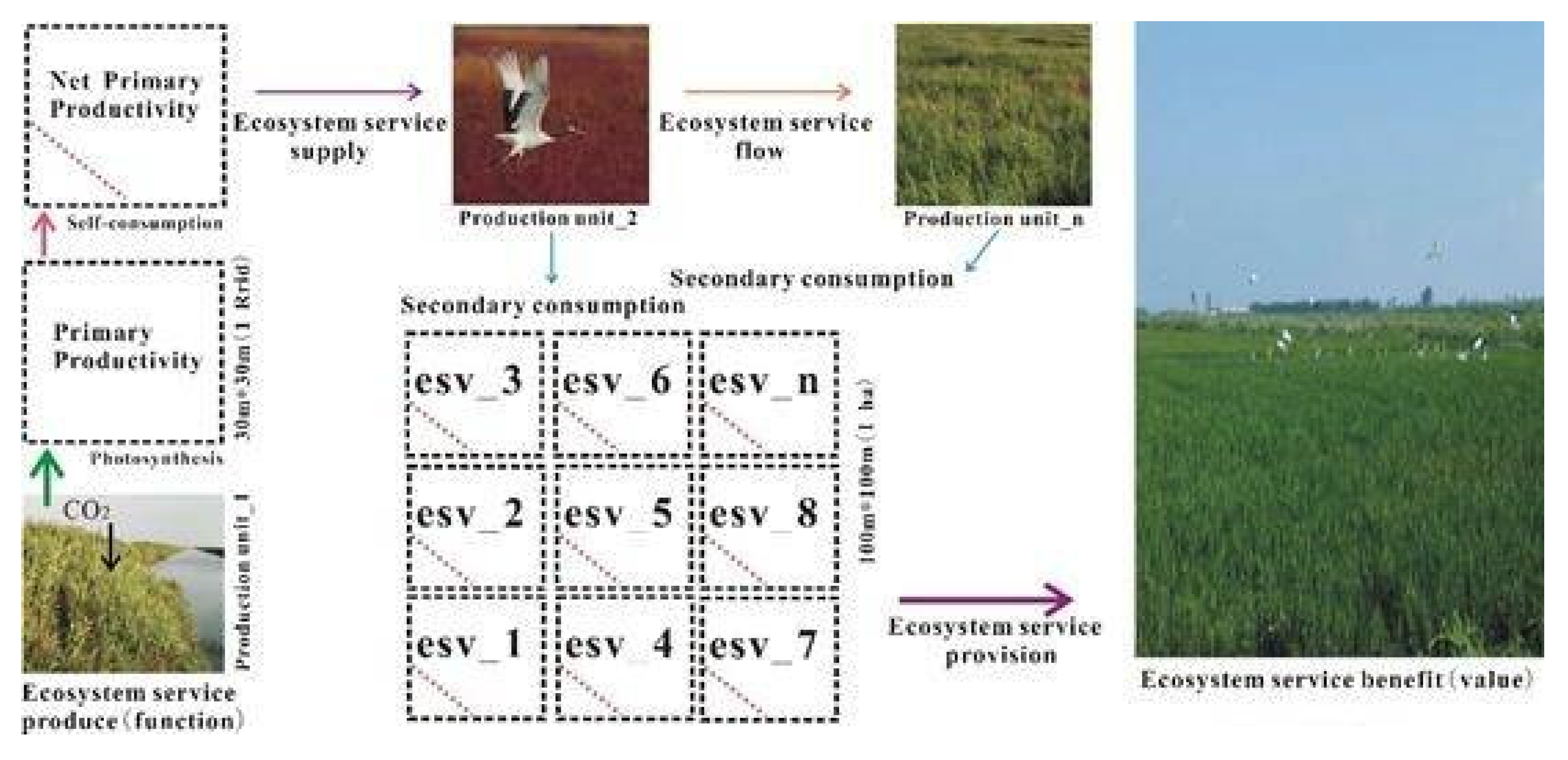 Sustainability 13 04630 g005