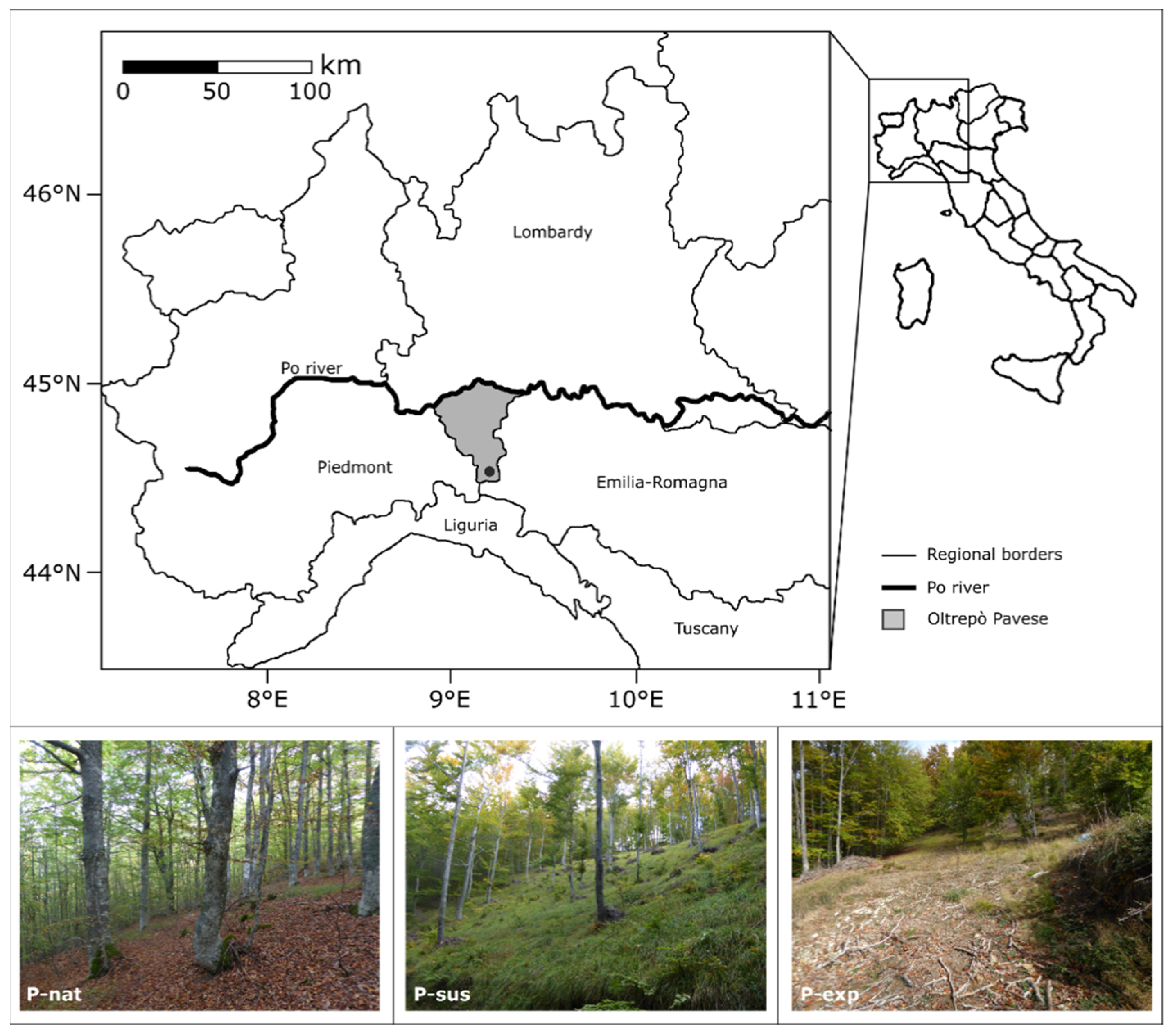 Sustainability 13 04638 g001