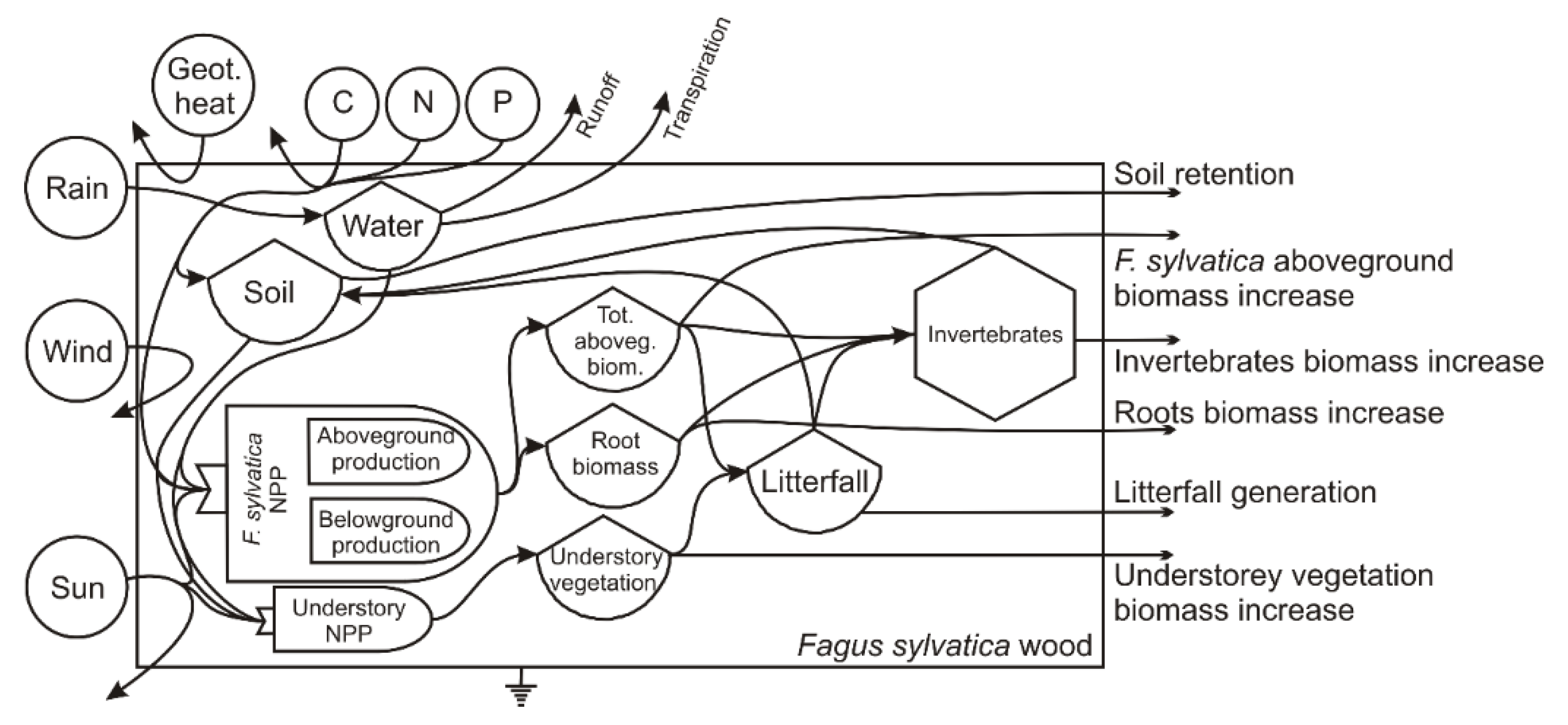 Sustainability 13 04638 g003