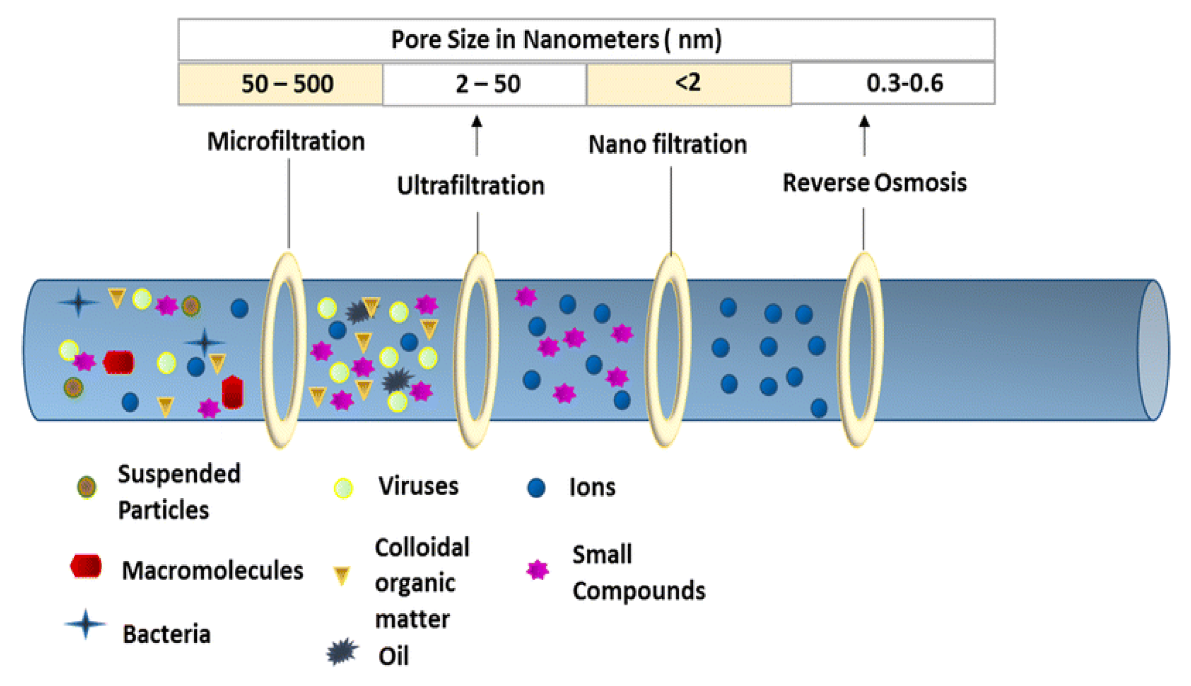 Sustainability 13 04656 g004