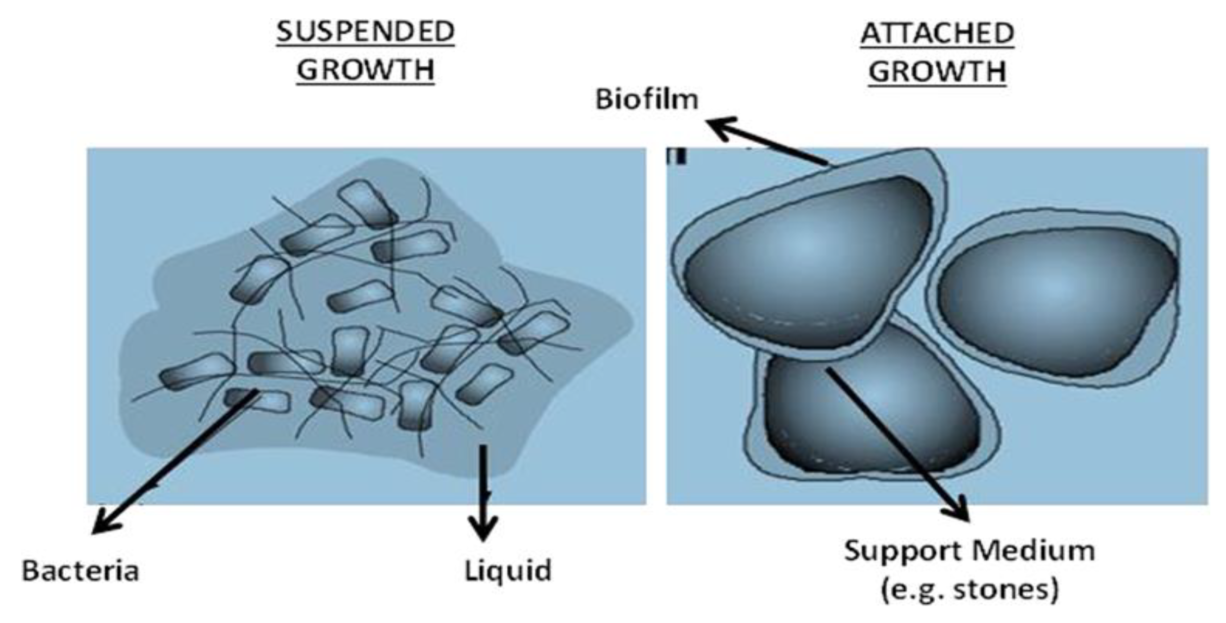 Sustainability 13 04656 g012