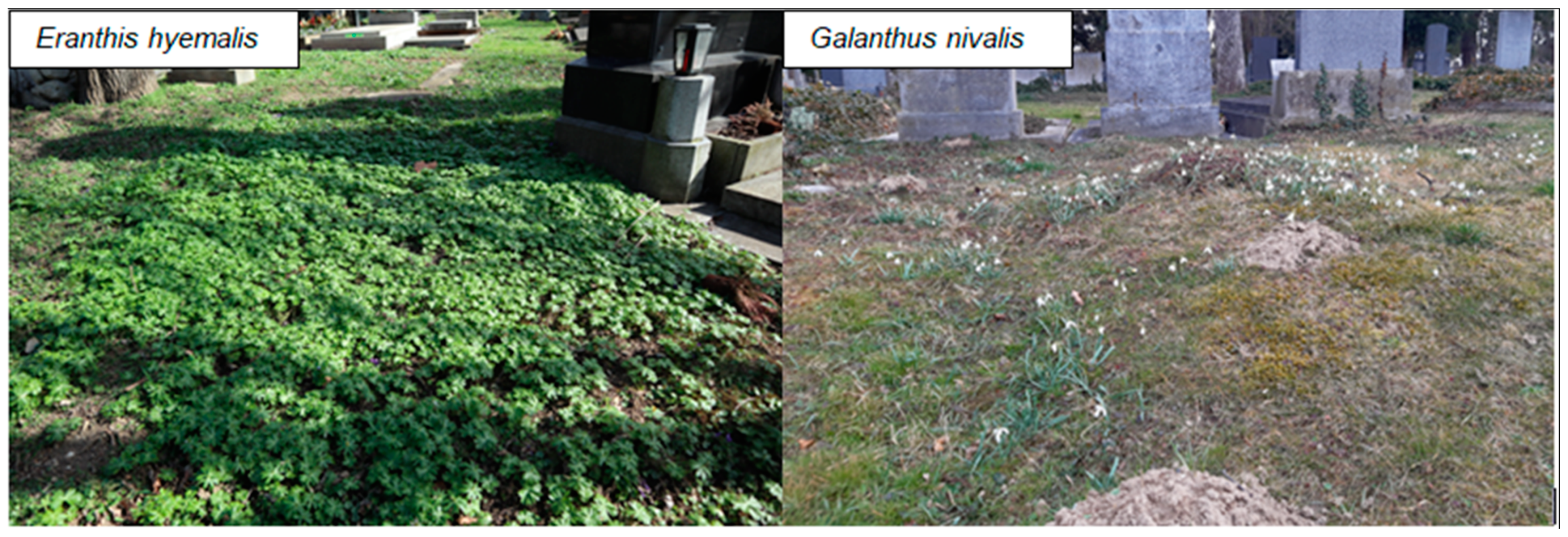 Sustainability 13 04657 g0a3