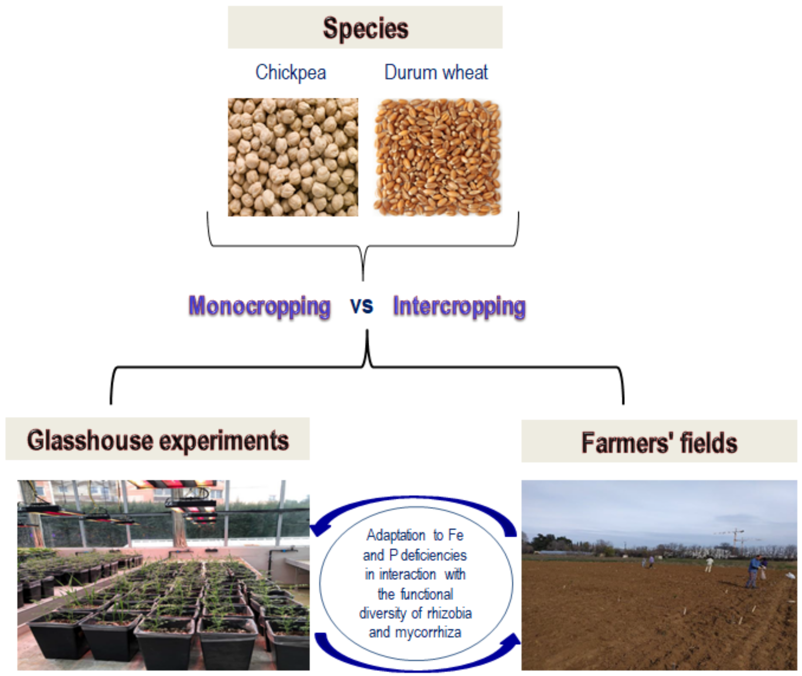 Sustainability 13 04695 g003
