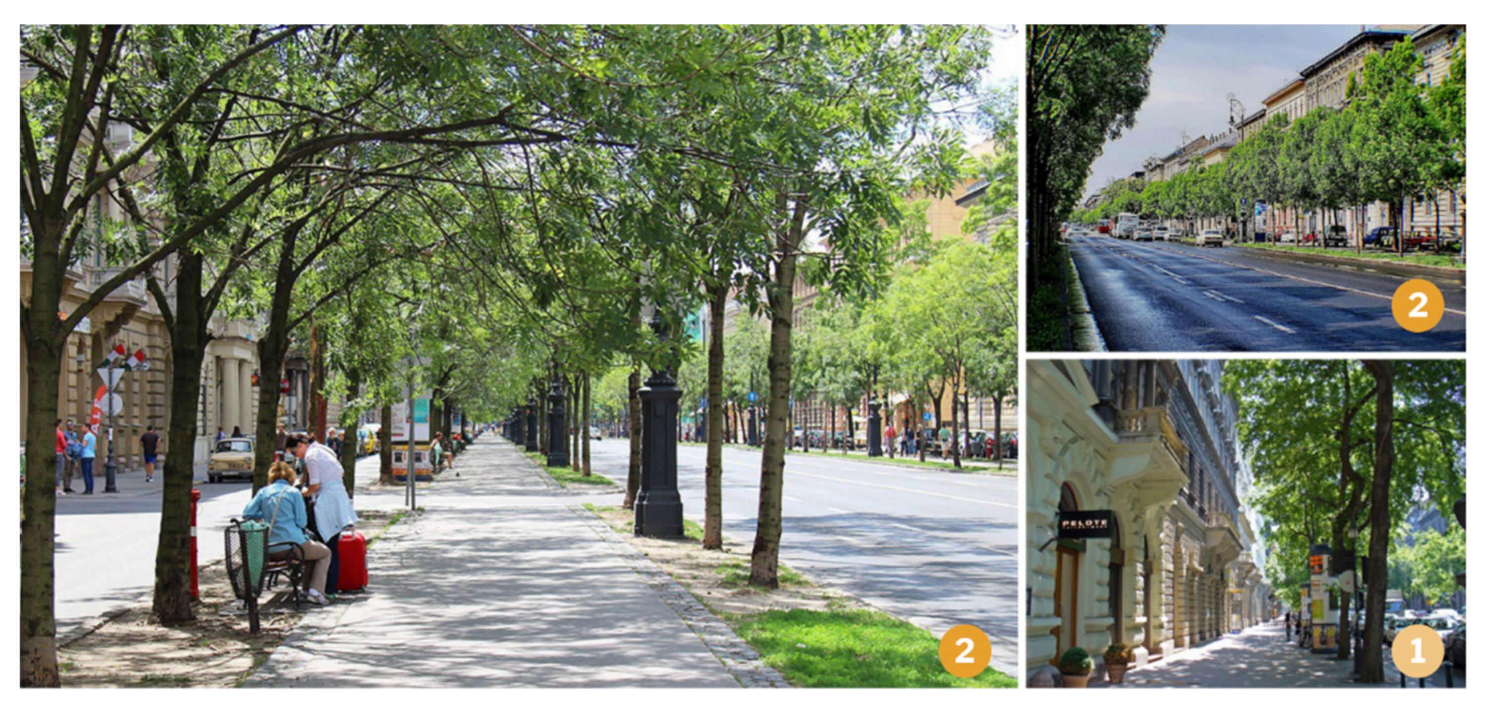 Sustainability 13 04699 g006