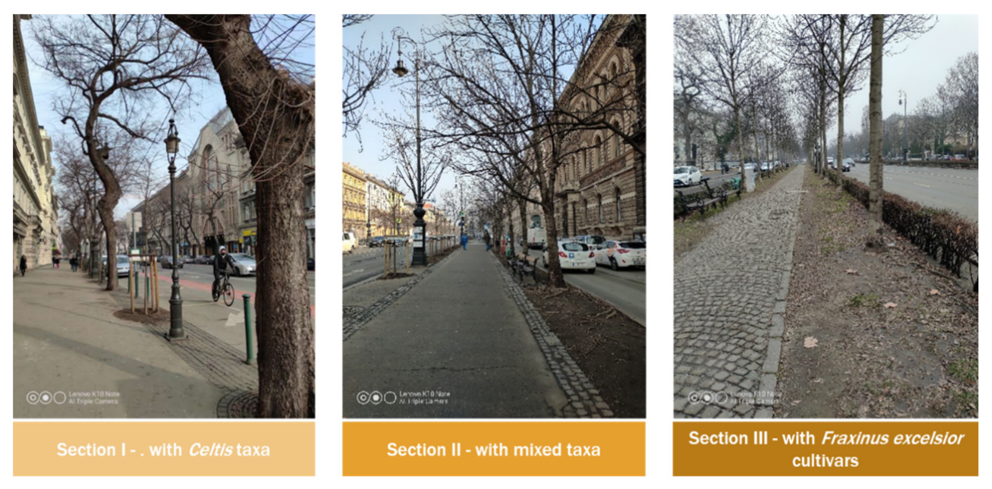 Sustainability 13 04699 g007