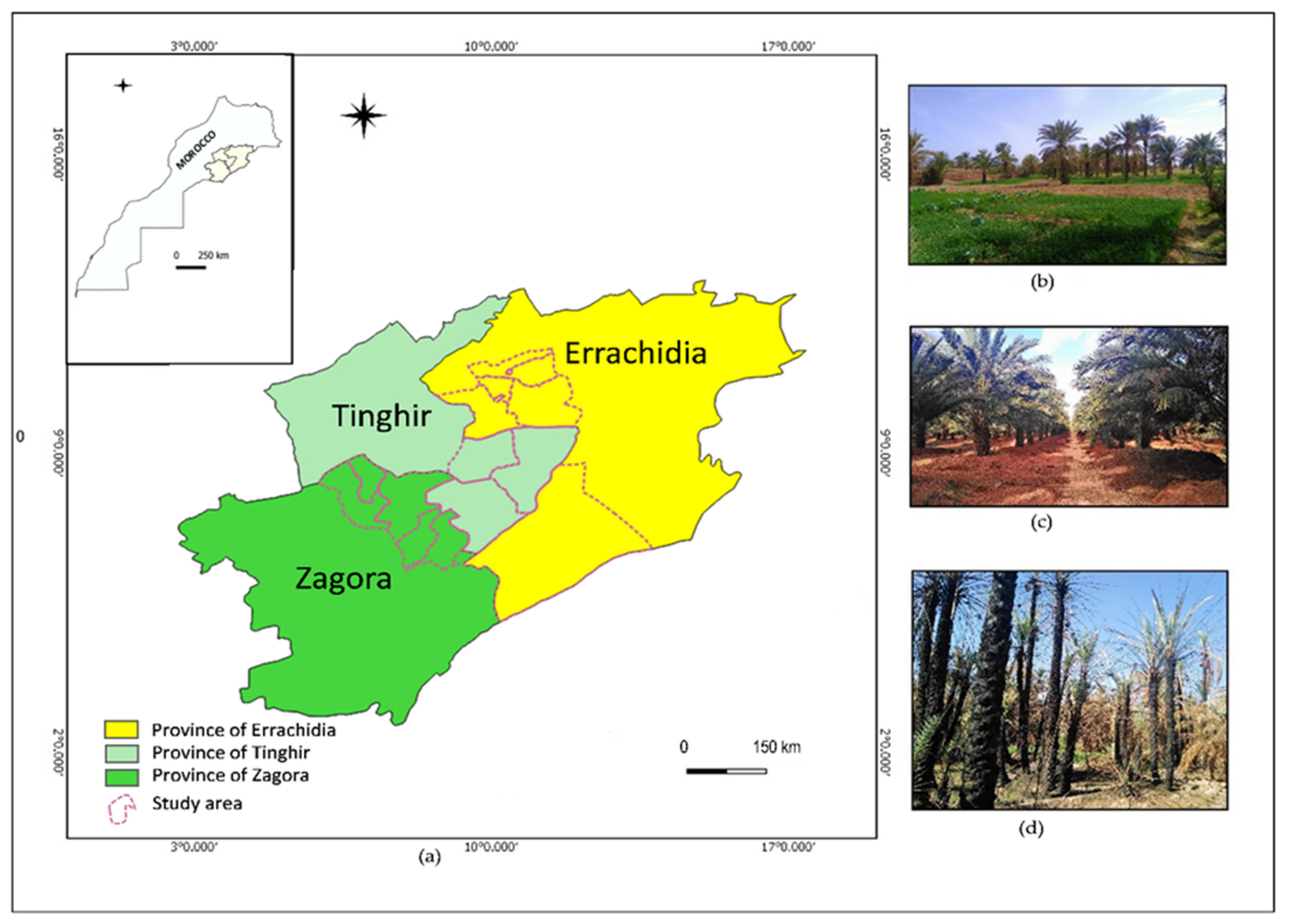 Sustainability 13 04713 g001