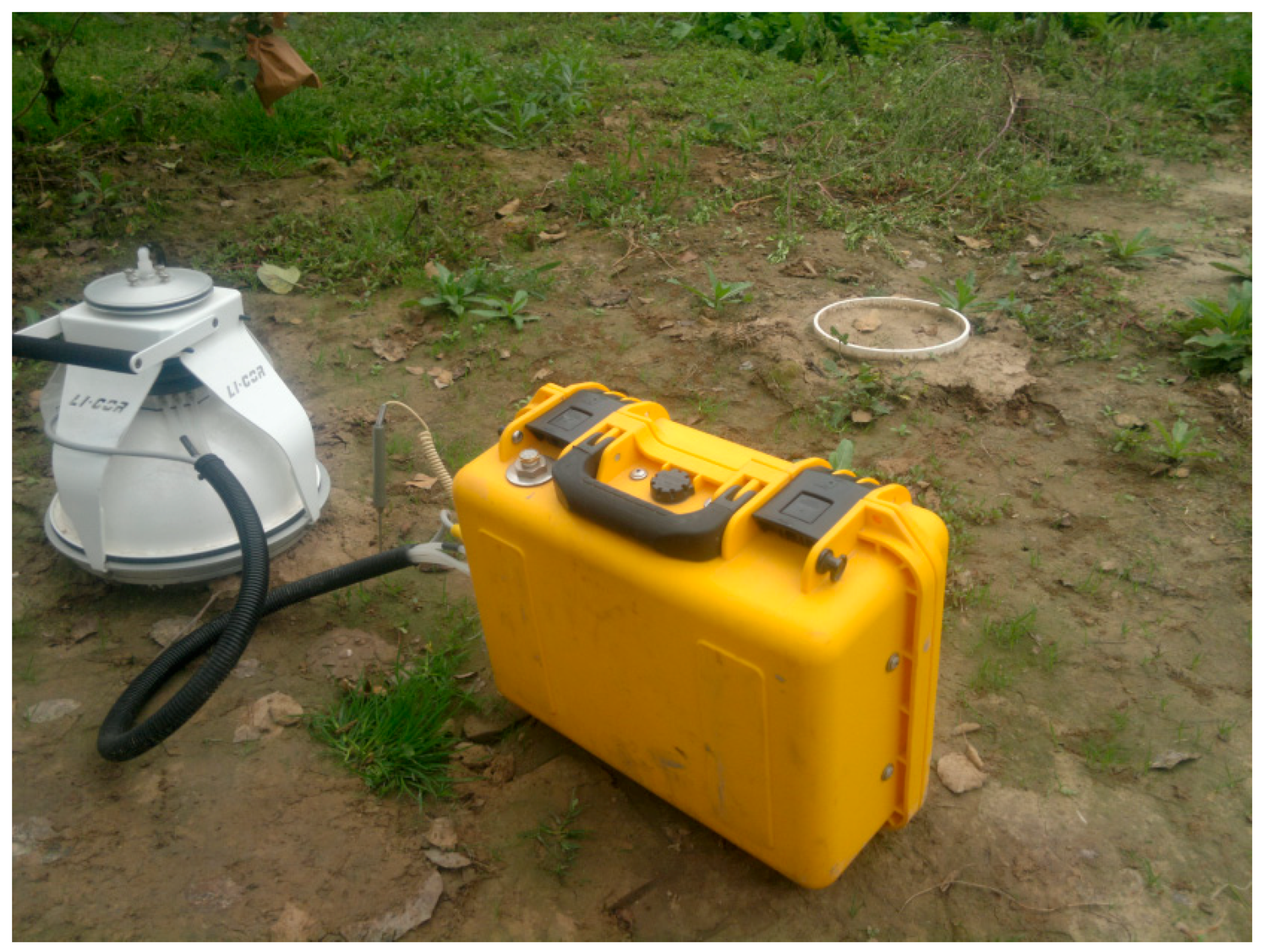 Sustainability 13 04780 g004