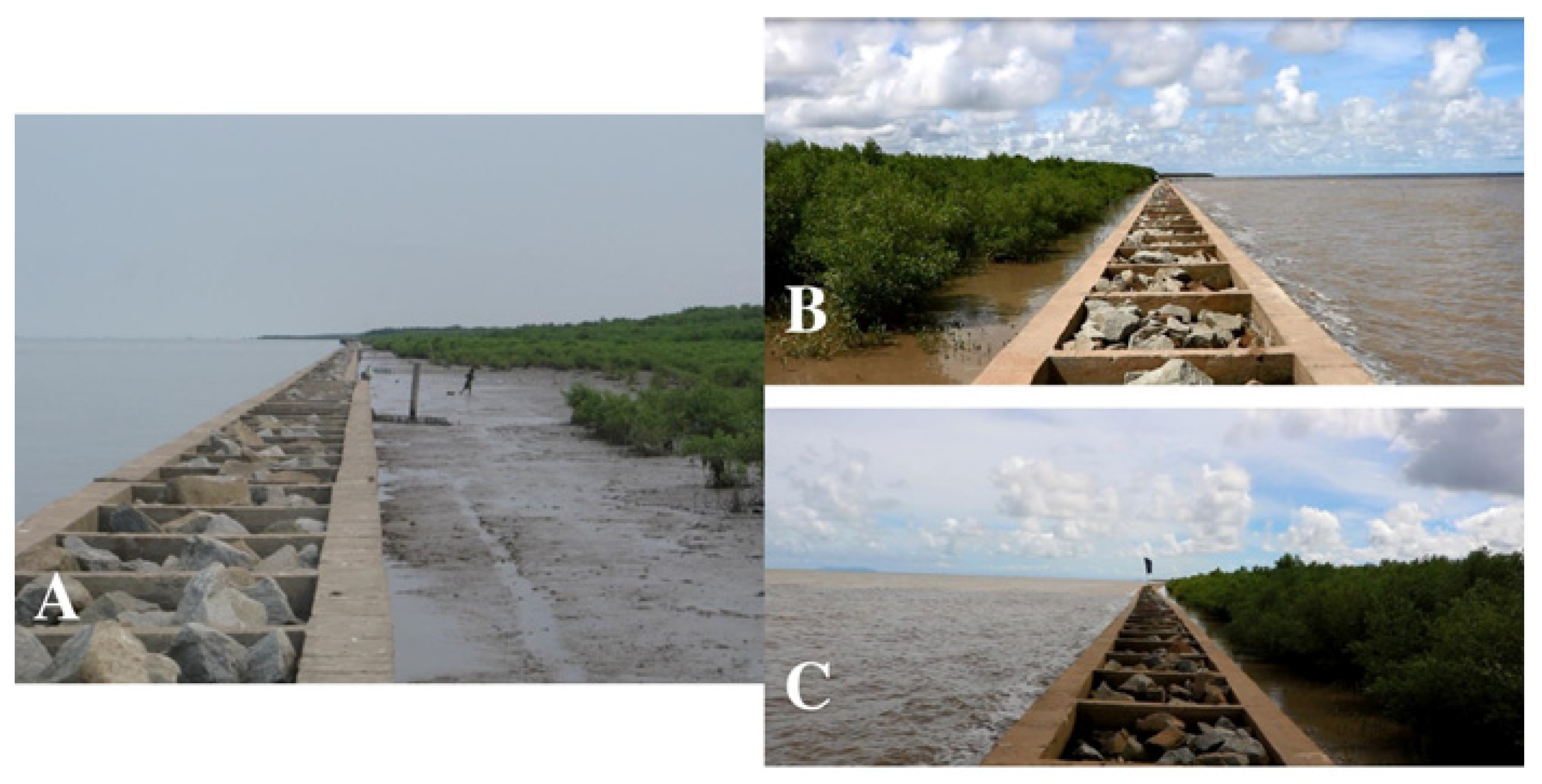 Sustainability 13 04798 g010