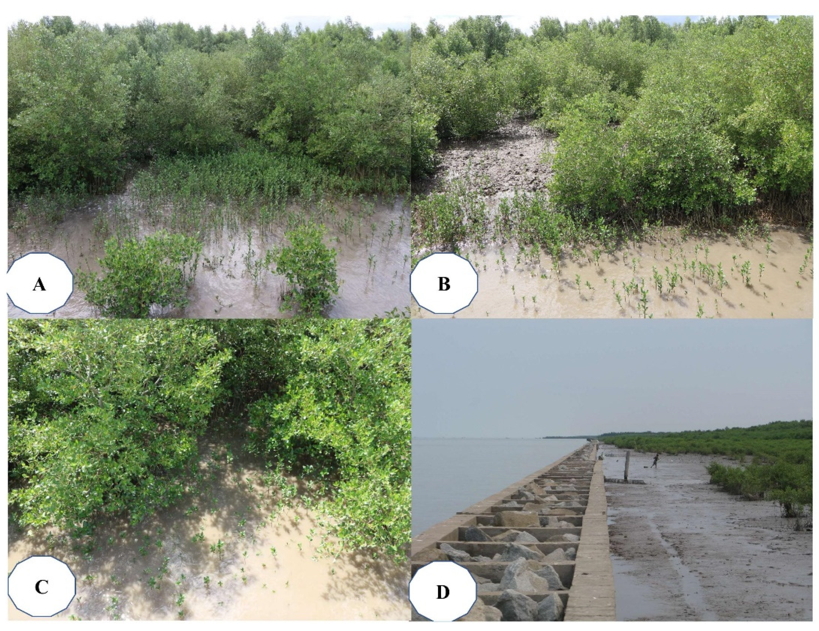 Sustainability 13 04798 g011