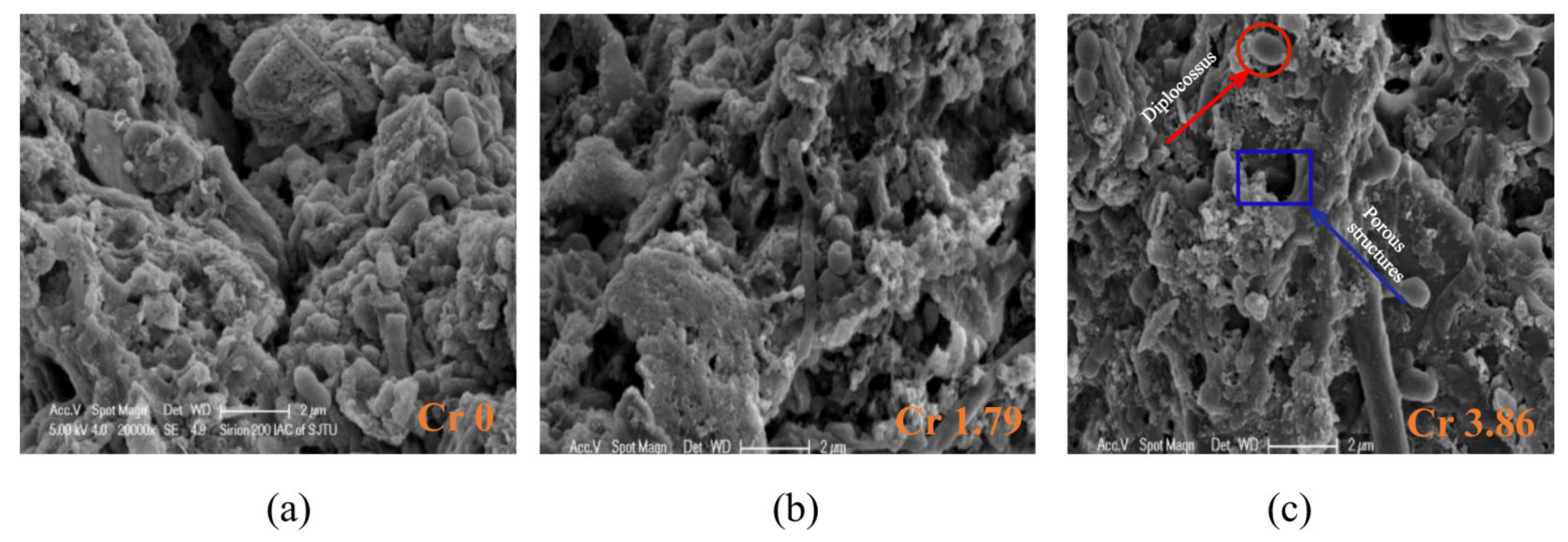 Sustainability 13 04806 g003