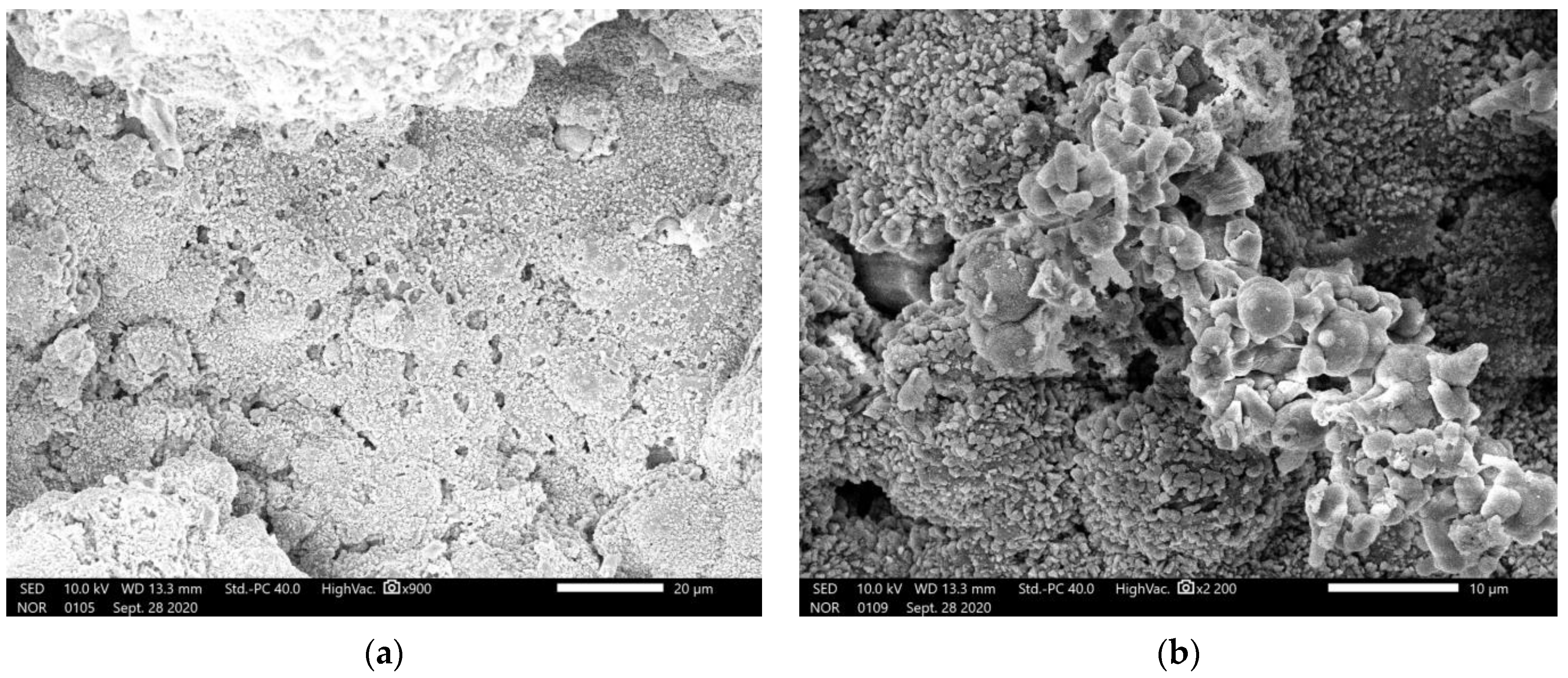 Sustainability 13 04834 g009