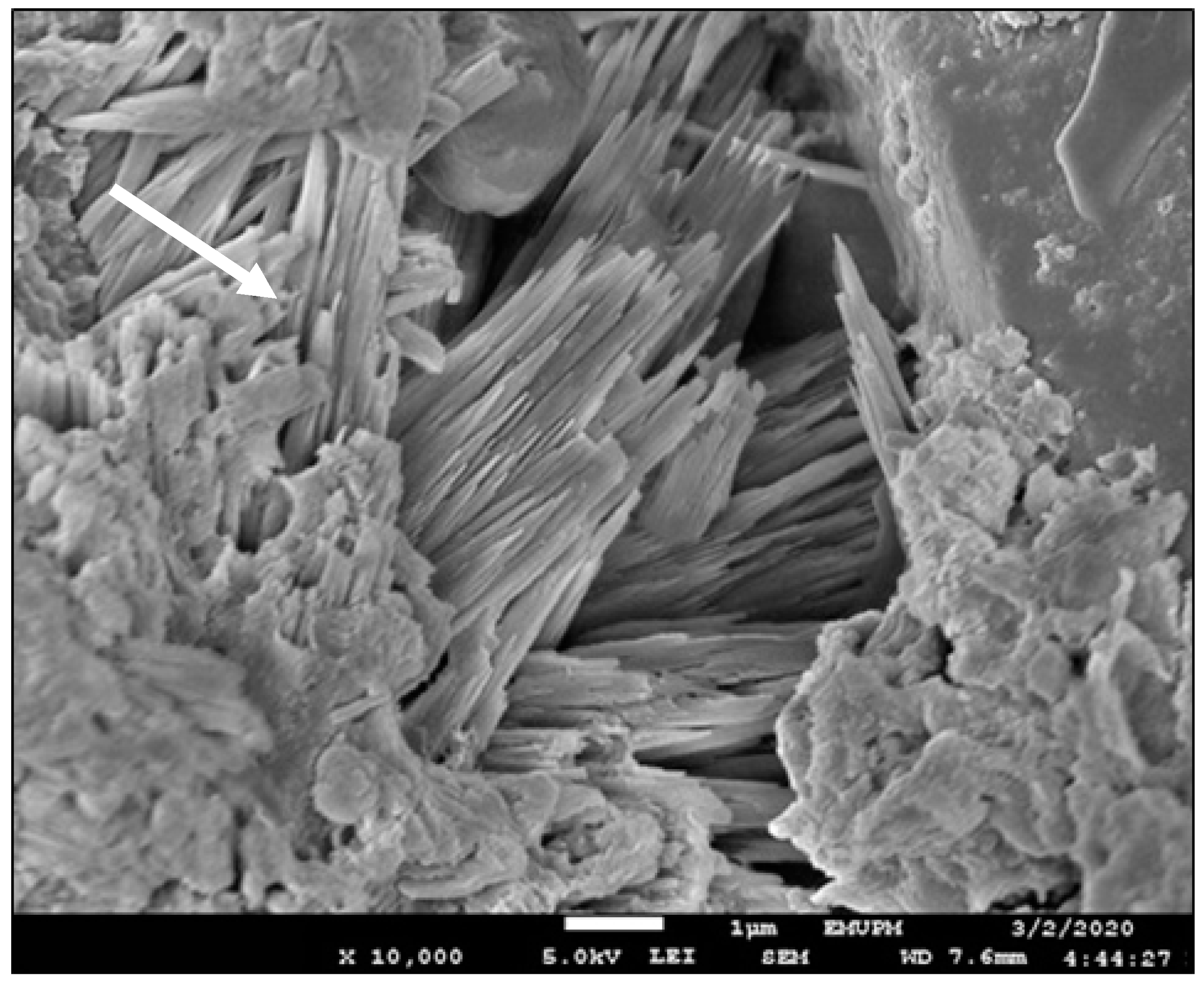 Sustainability 13 04840 g004