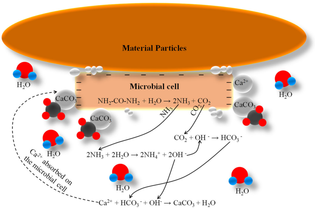 Sustainability 13 04856 g001