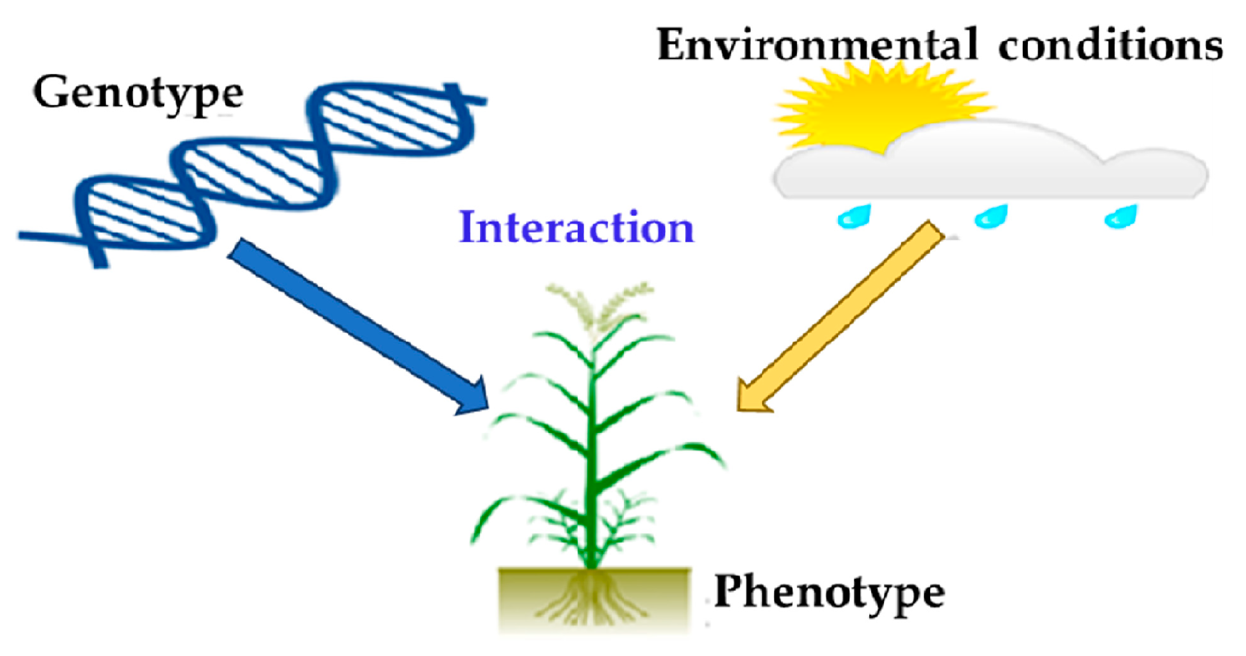 Sustainability 13 04883 g004