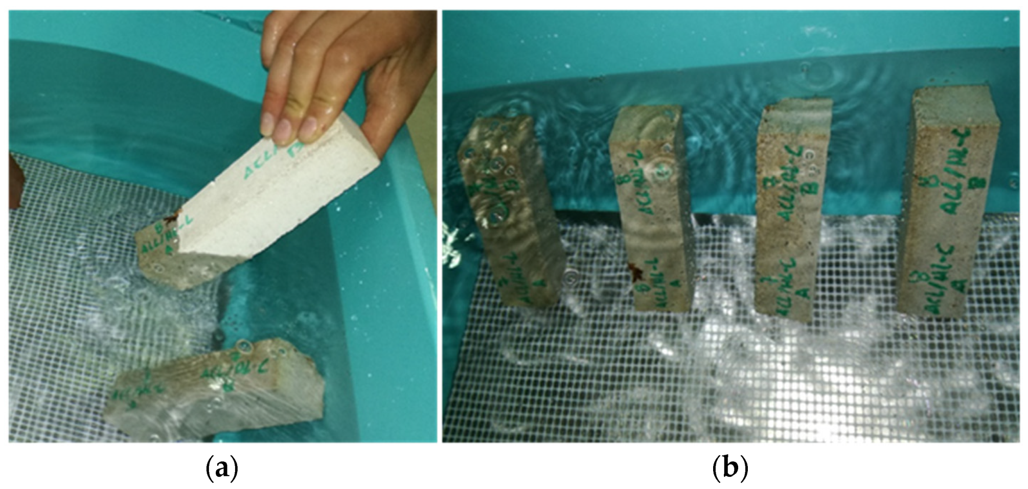 Sustainability 13 04909 g002