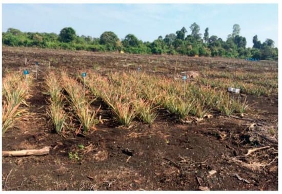 Sustainability 13 04928 g003