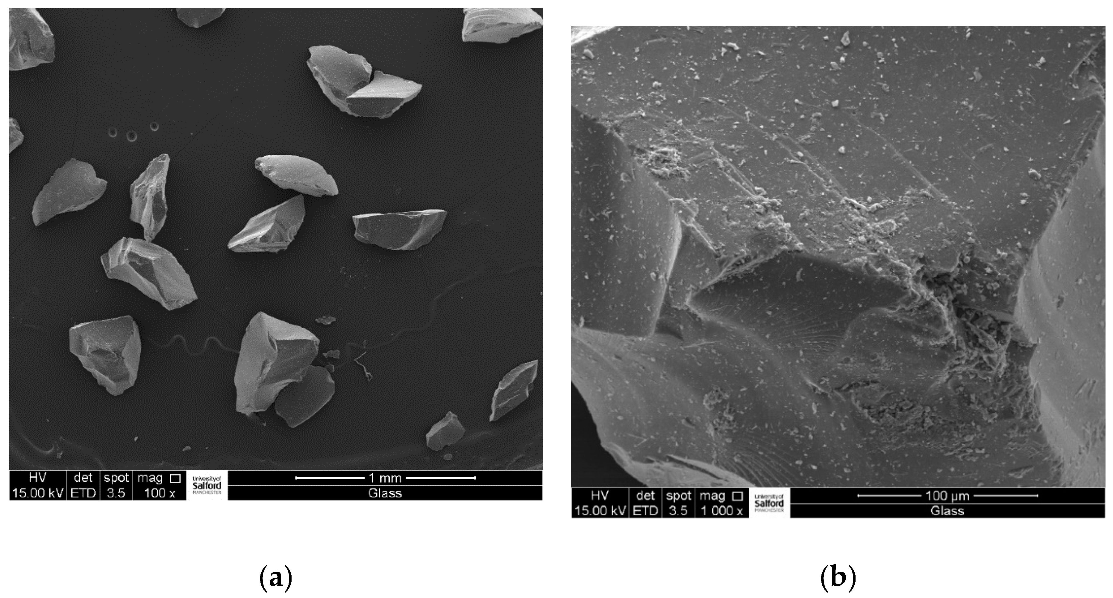 Sustainability 13 04949 g001