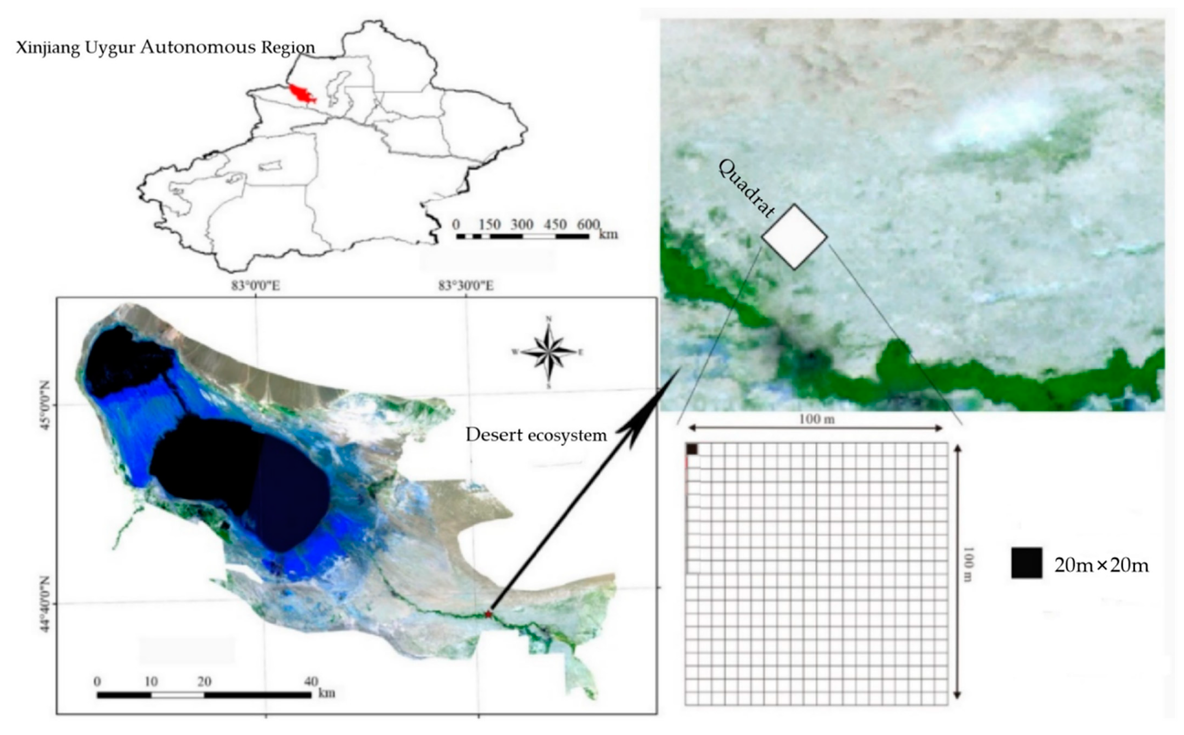 Sustainability 13 04983 g001