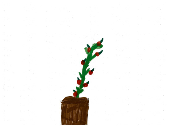 Sustainability 13 04999 g0a4