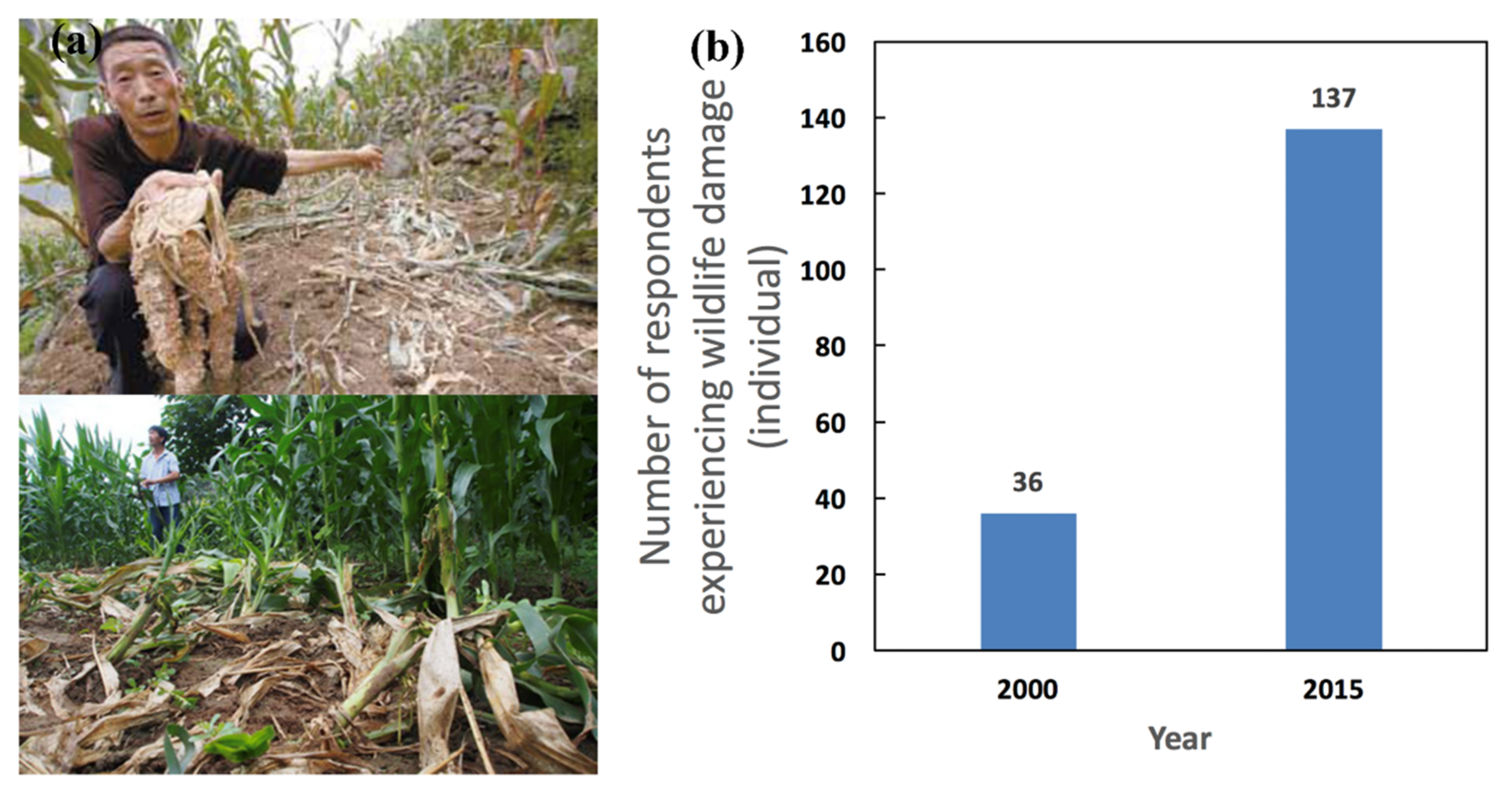 Sustainability 13 05013 g005