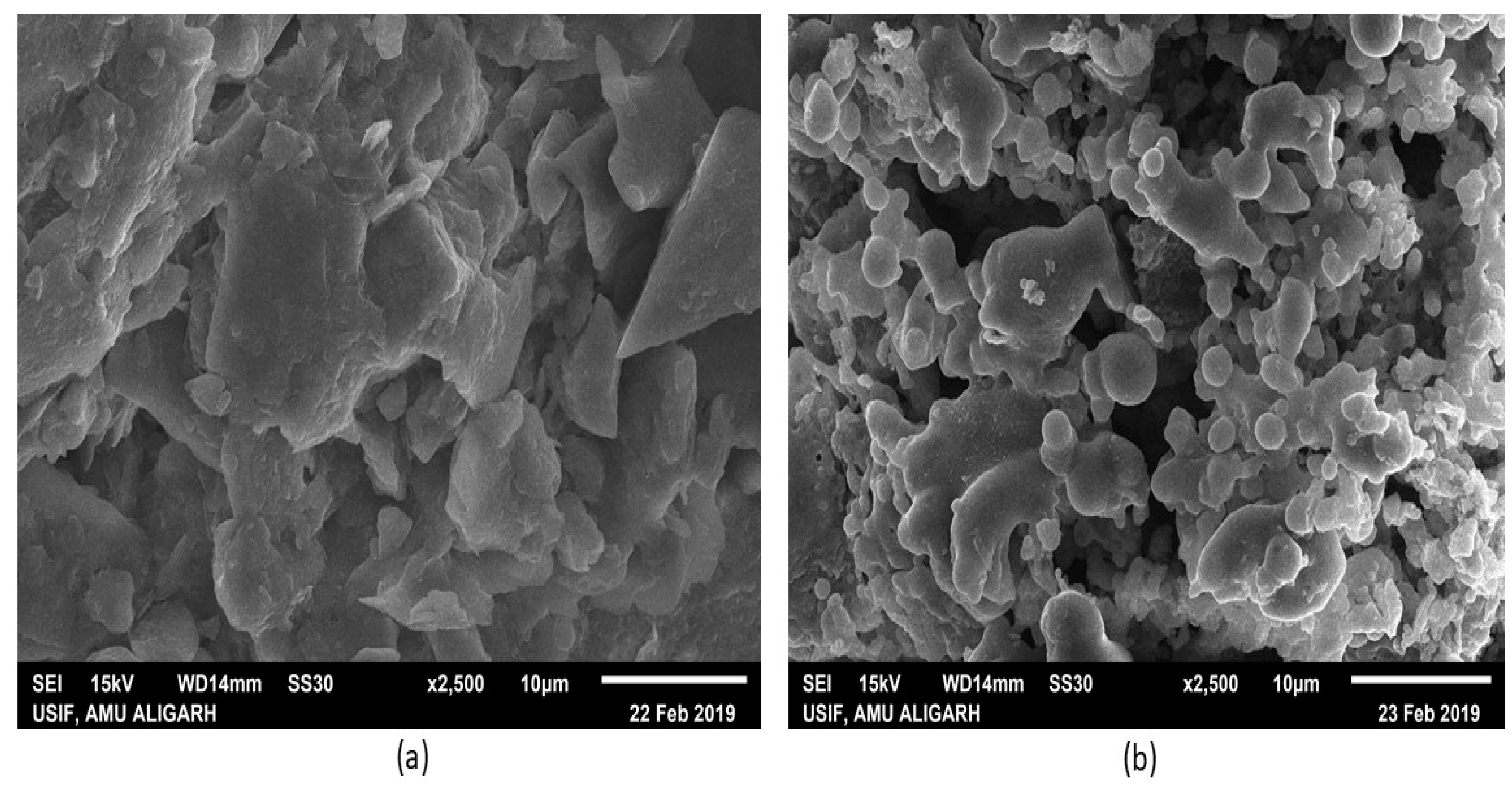 Sustainability 13 05116 g001