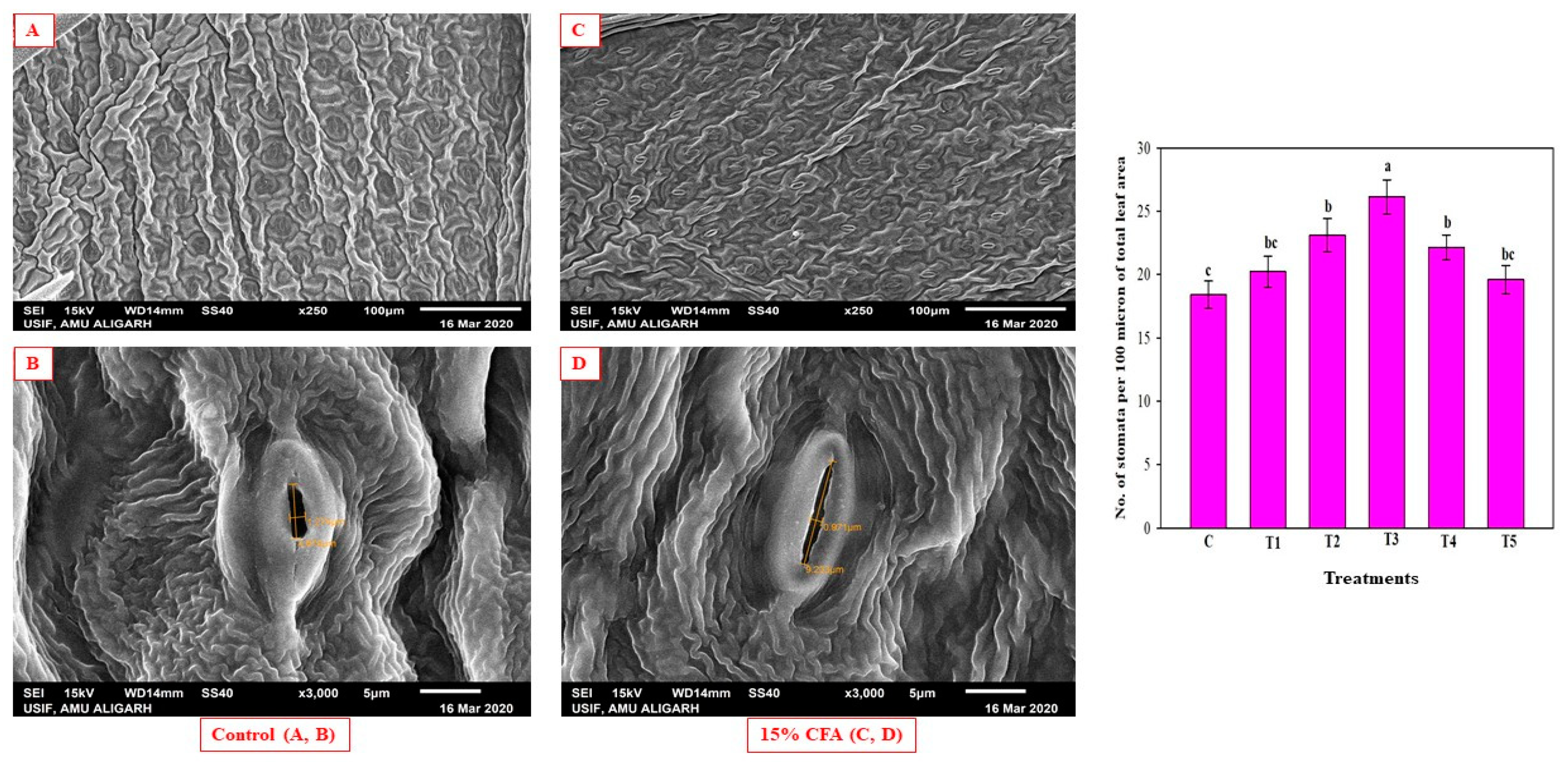 Sustainability 13 05116 g002