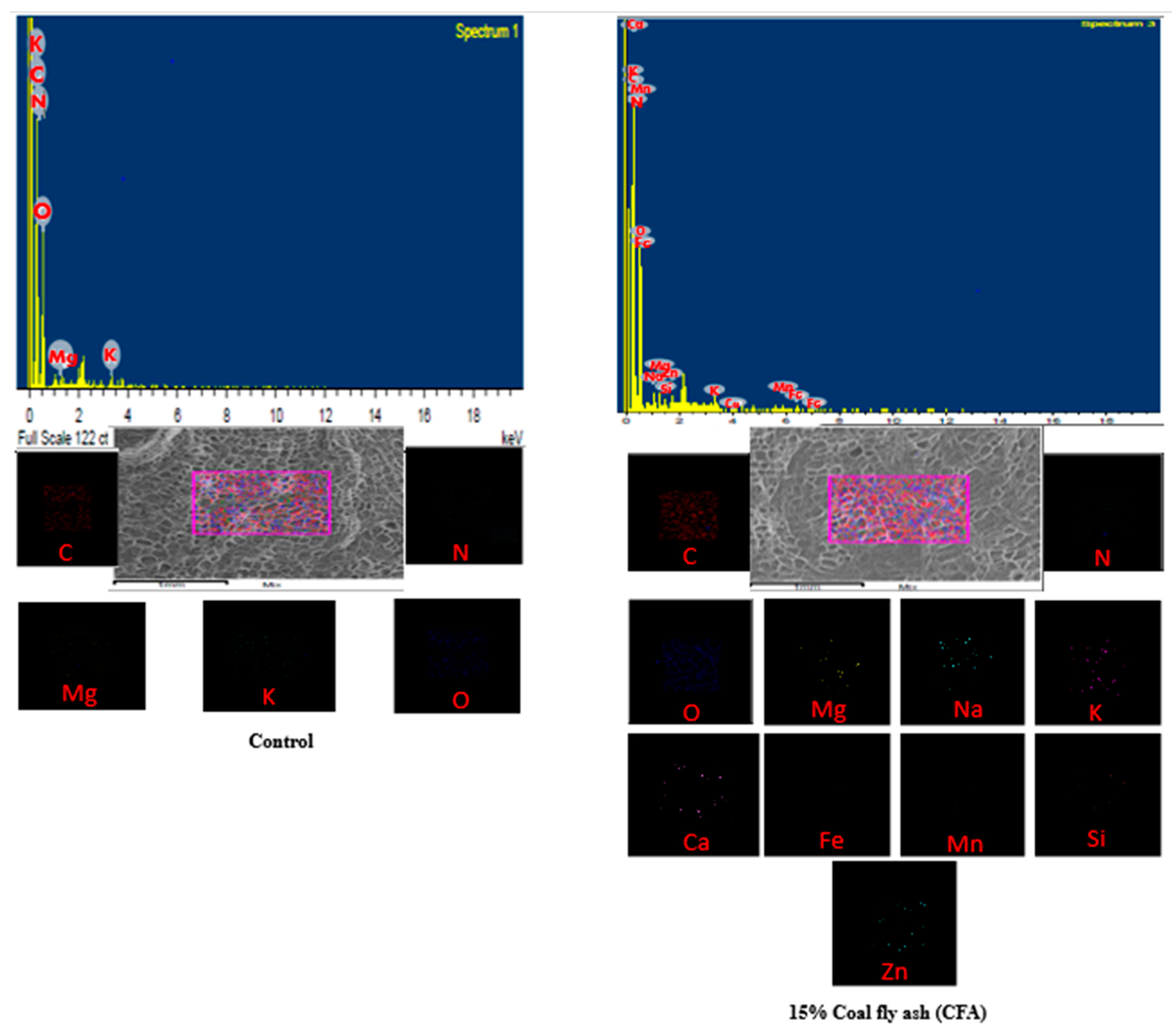 Sustainability 13 05116 g006