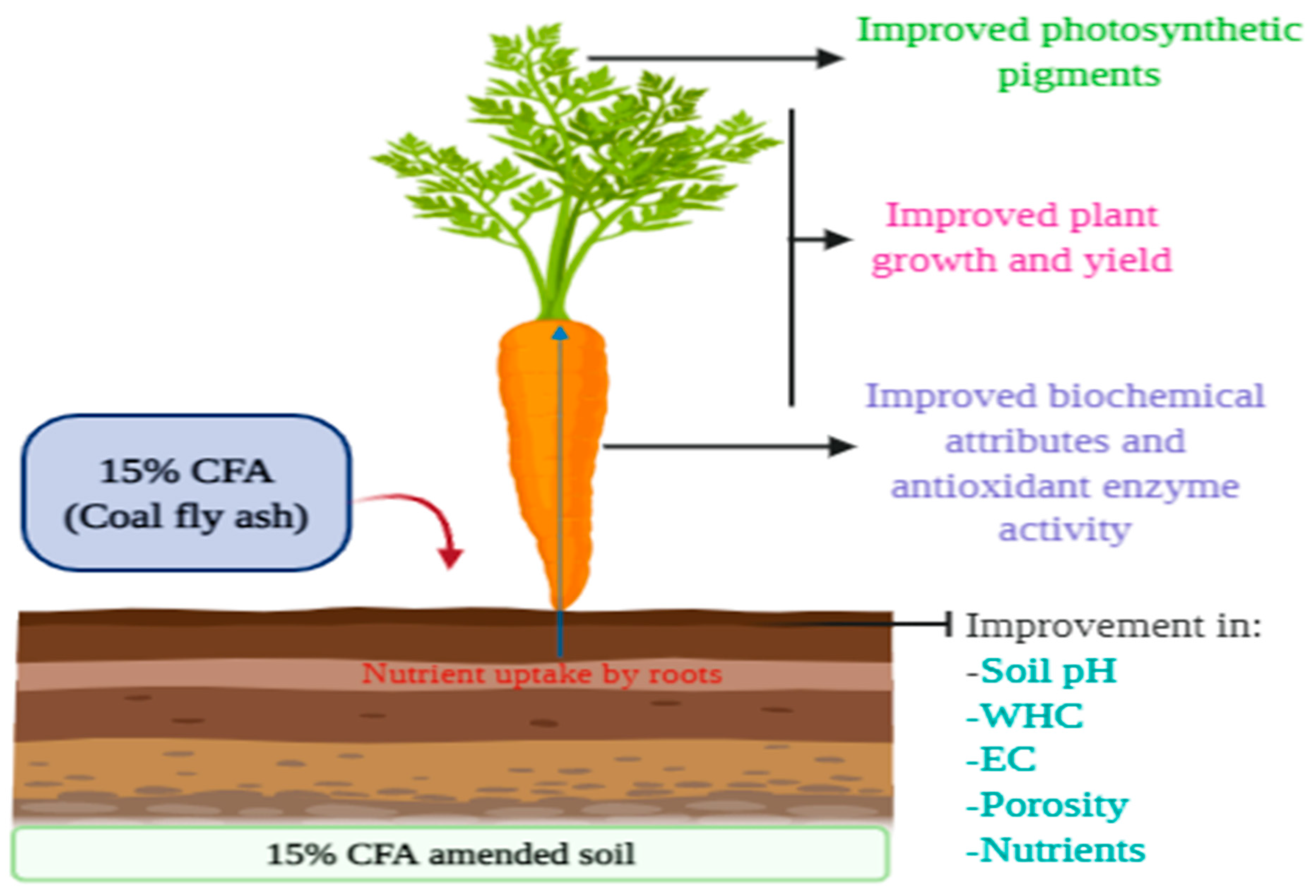 Sustainability 13 05116 g008