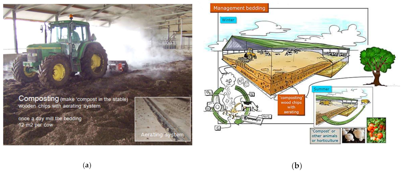 Sustainability 13 05128 g002