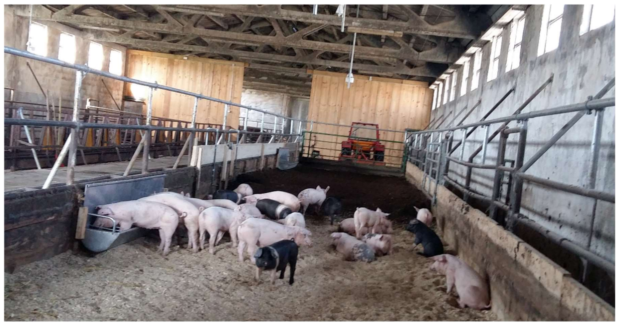 Sustainability 13 05128 g003