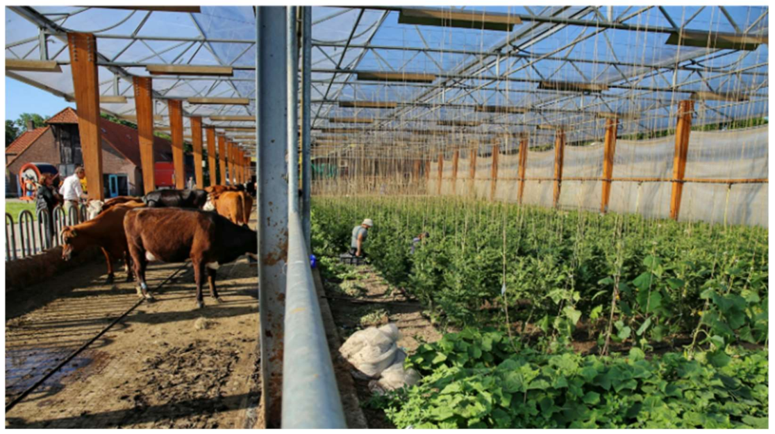 Sustainability 13 05128 g004