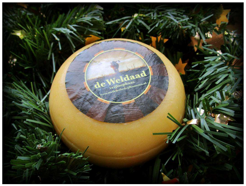 Sustainability 13 05128 g005