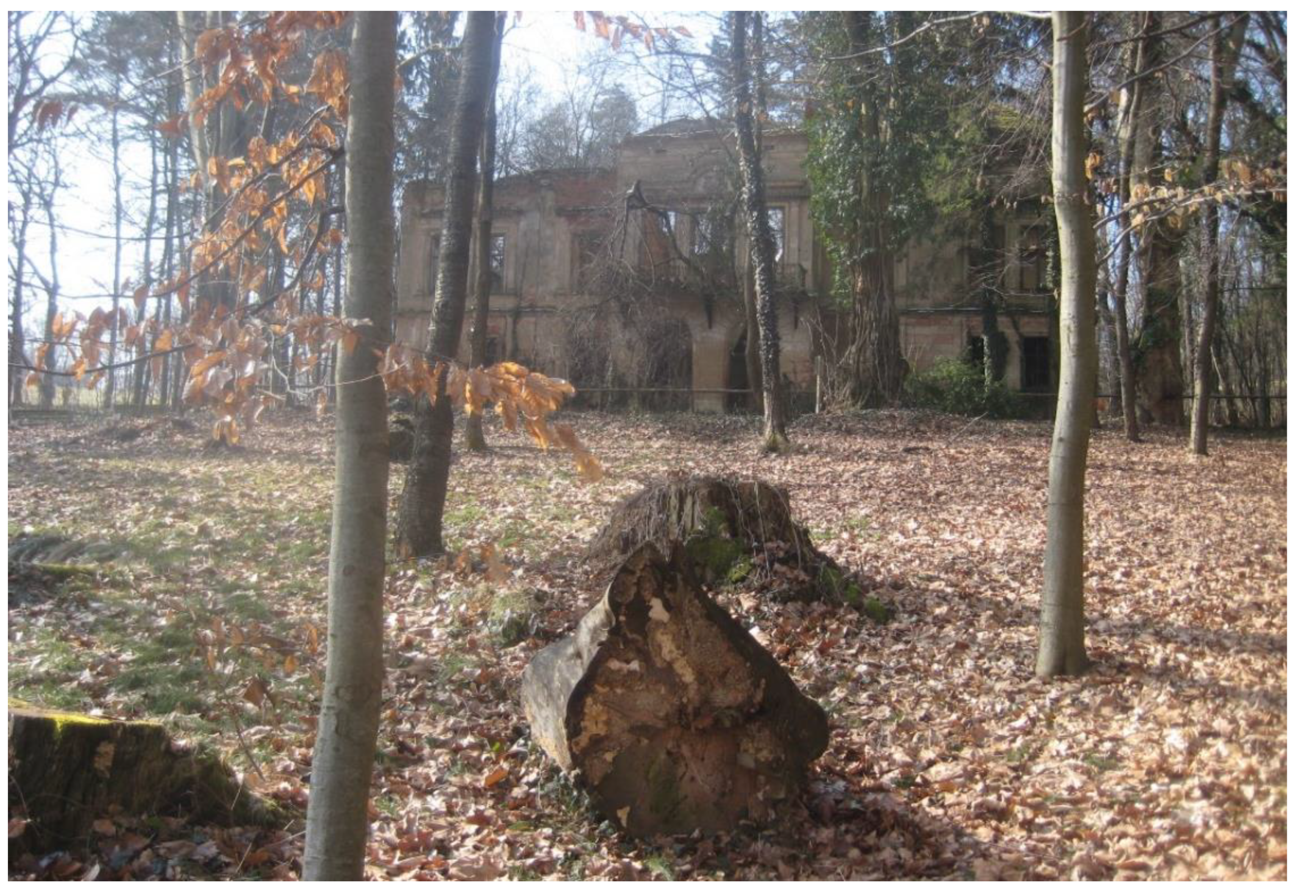 Sustainability 13 05130 g008