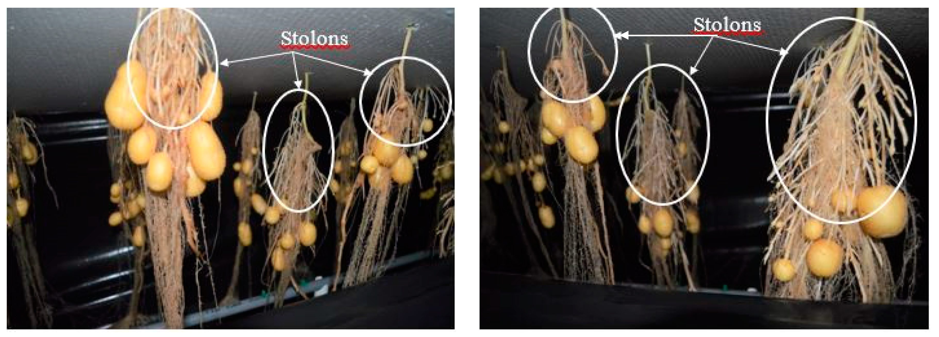 Sustainability 13 05140 g016