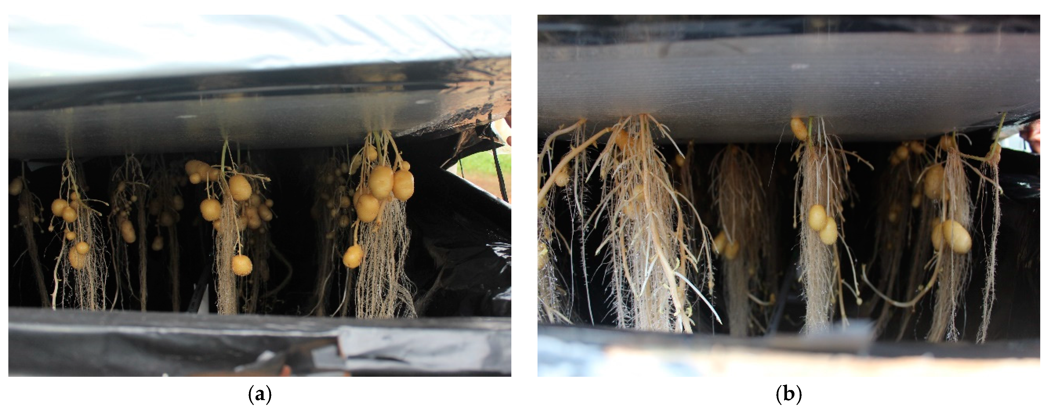 Sustainability 13 05140 g017