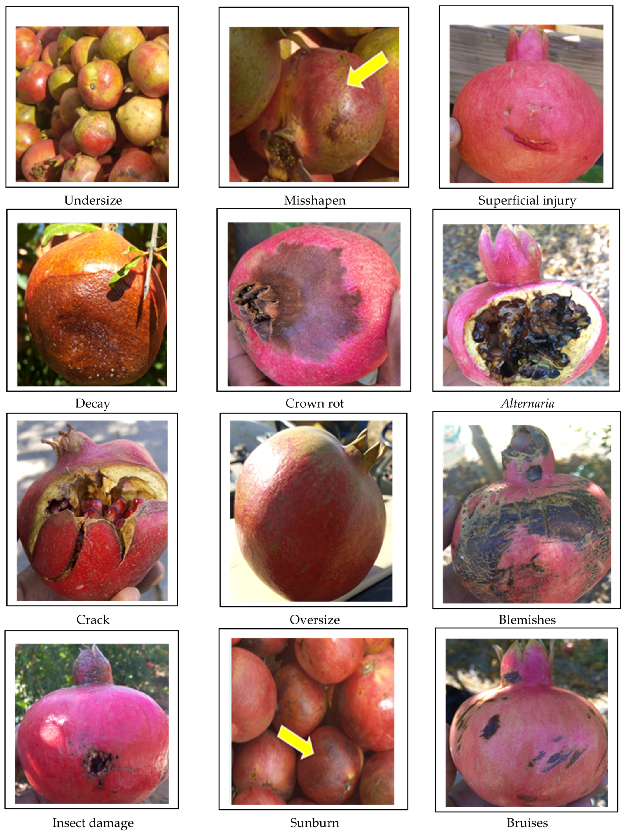 Sustainability 13 05168 g001