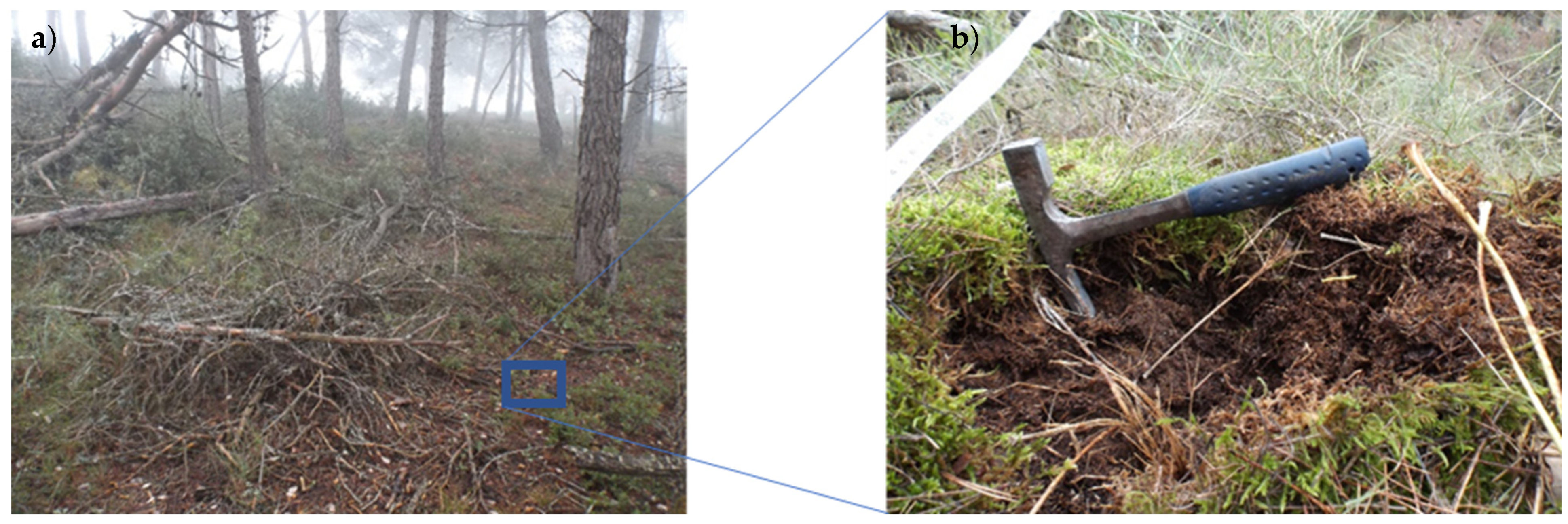 Sustainability 13 05178 g002