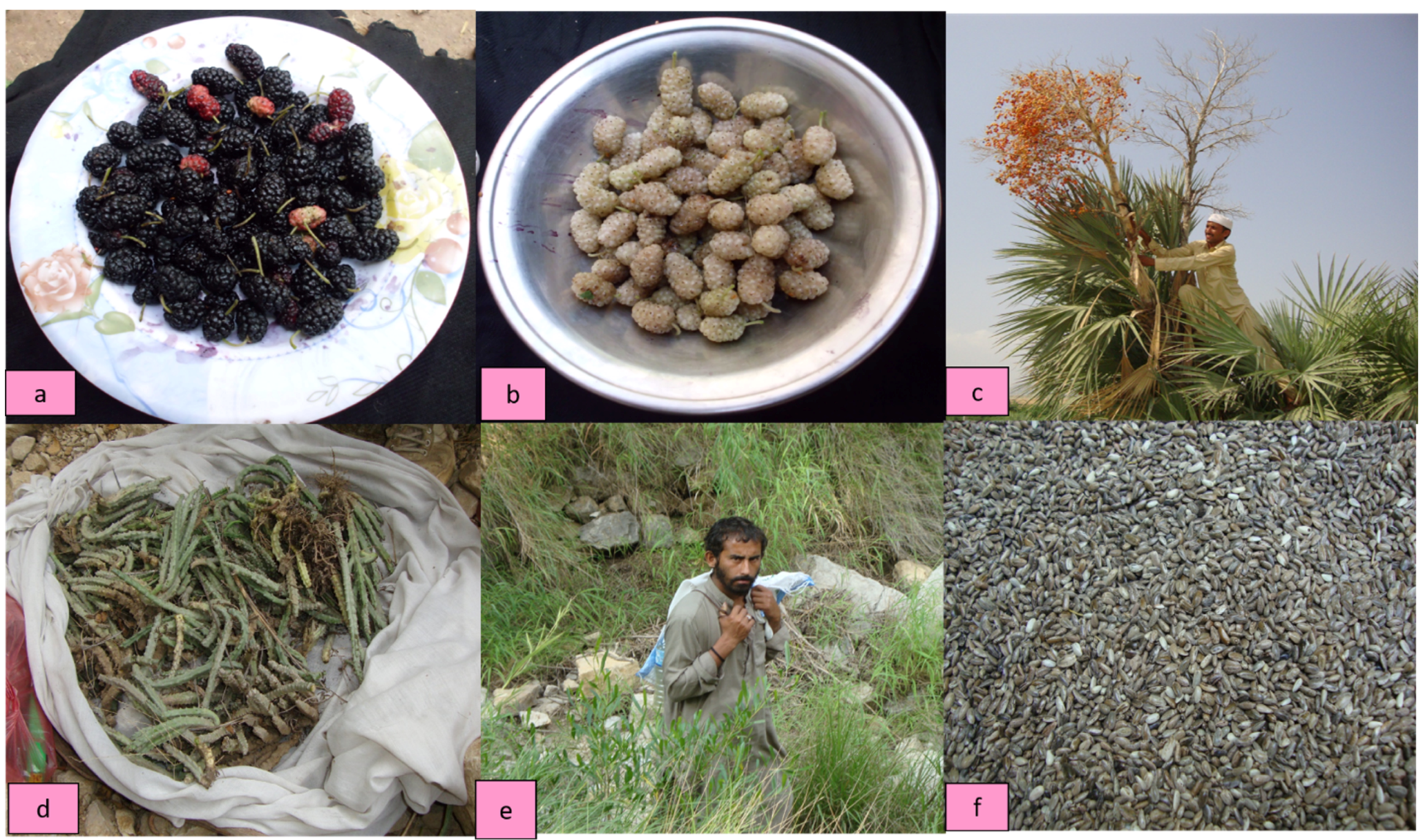 Sustainability 13 05258 g003