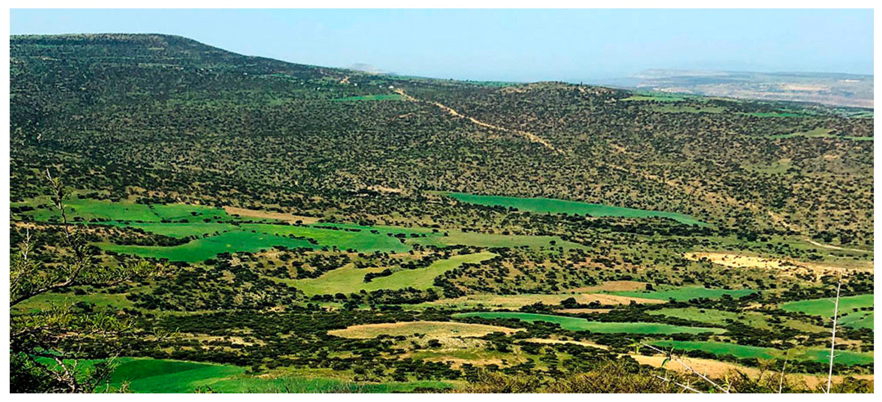 Sustainability 13 05282 g002