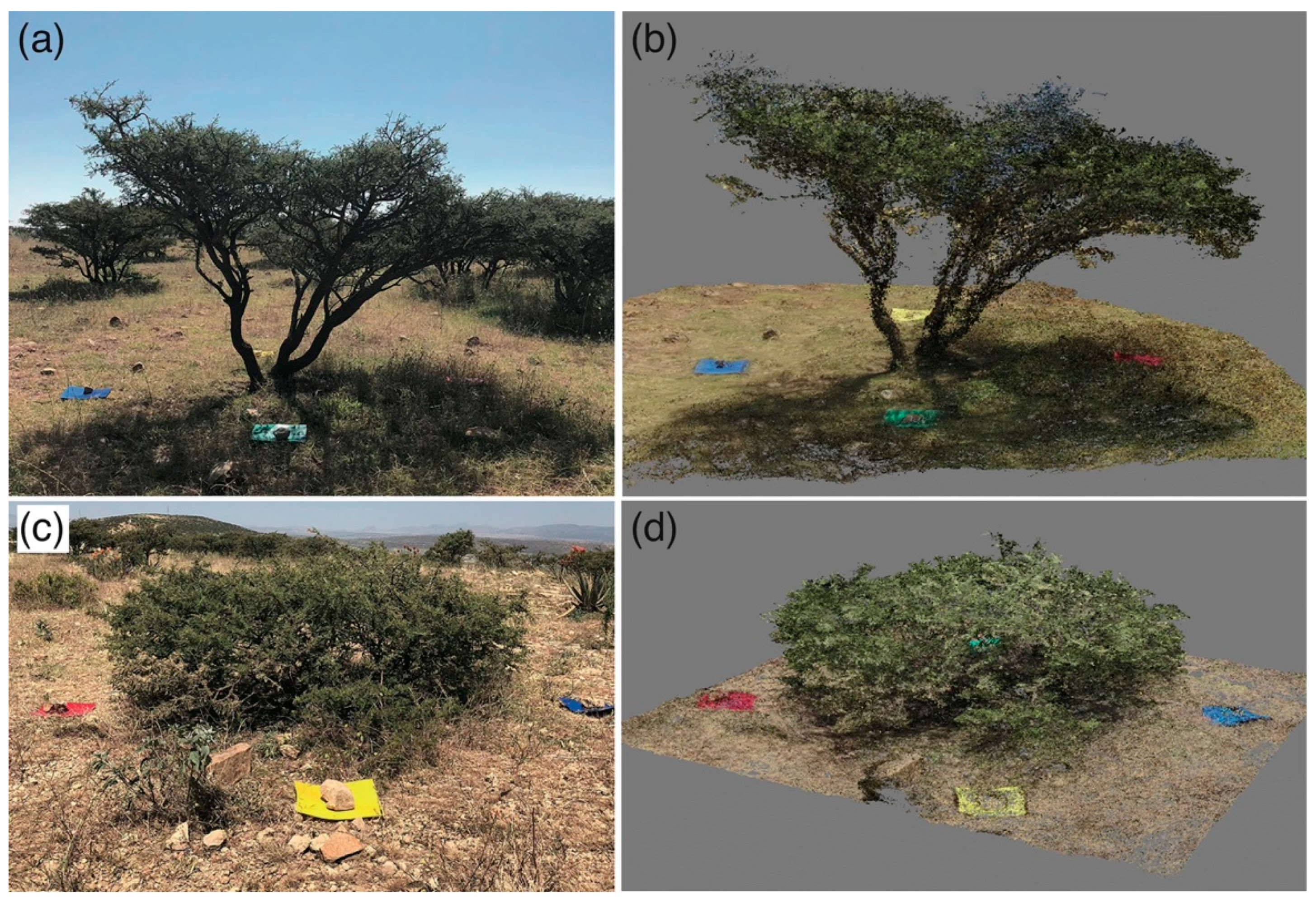 Sustainability 13 05282 g004