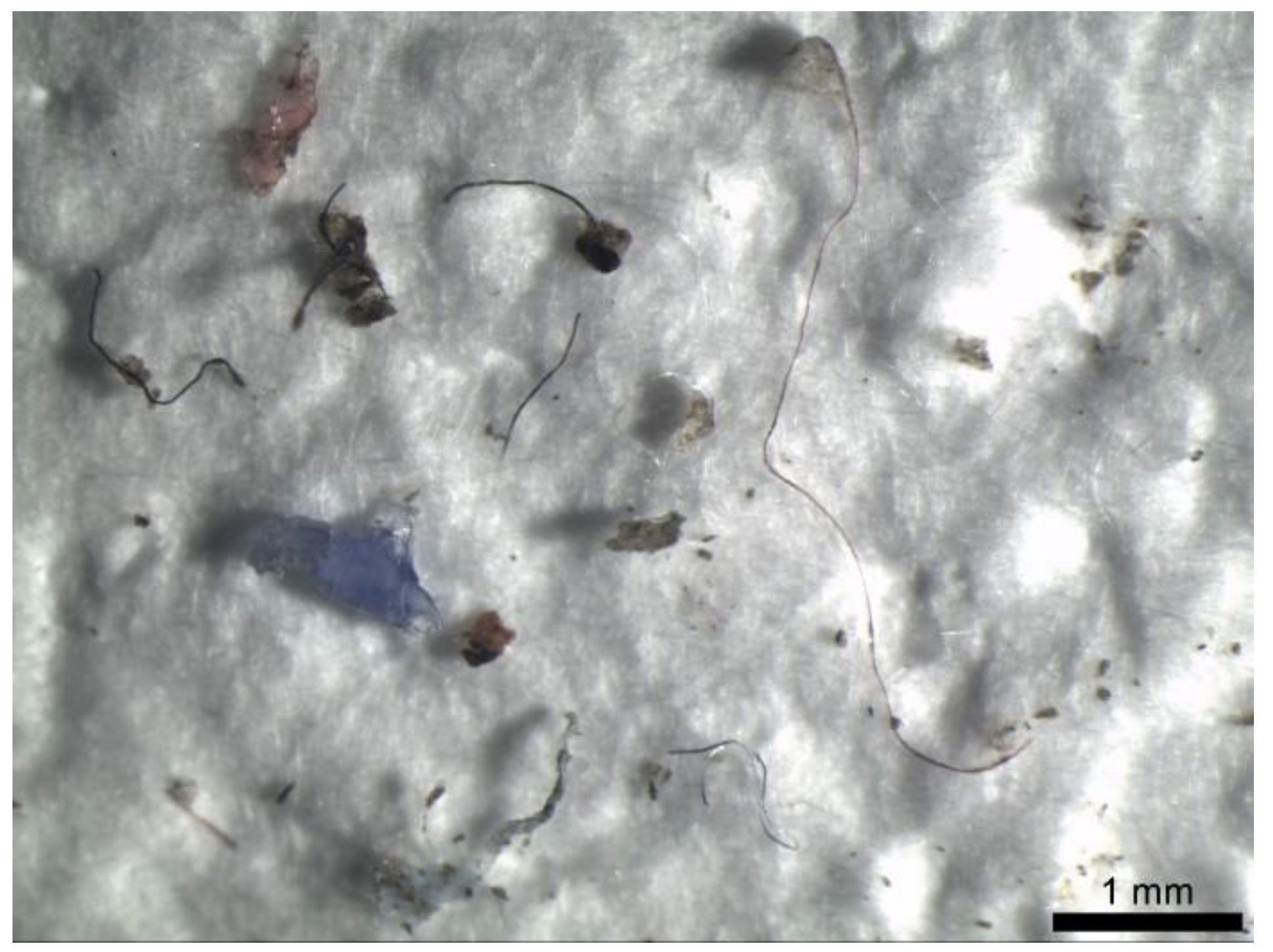 Sustainability 13 05328 g005