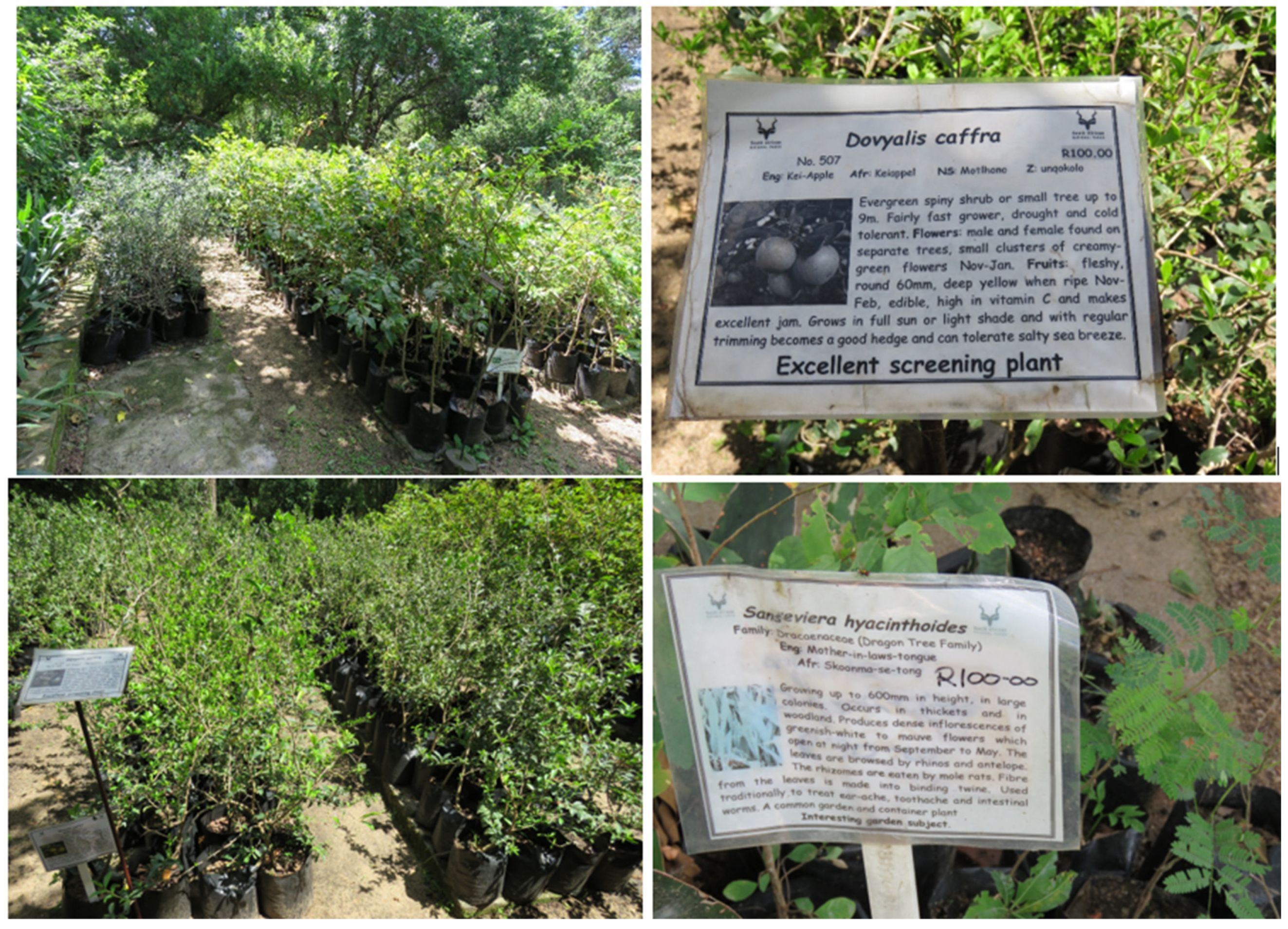 Sustainability 13 05341 g001