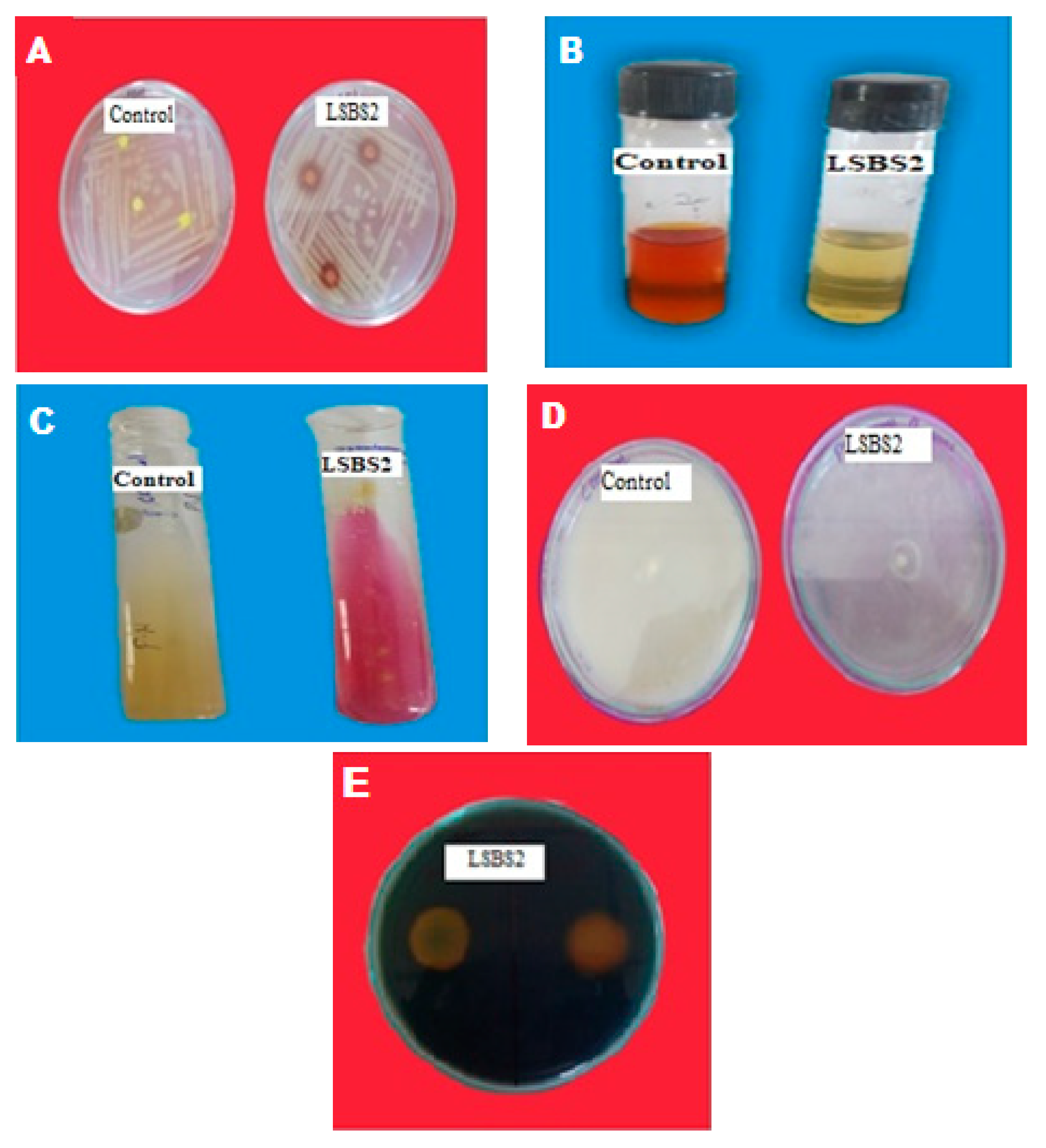 Sustainability 13 05394 g001