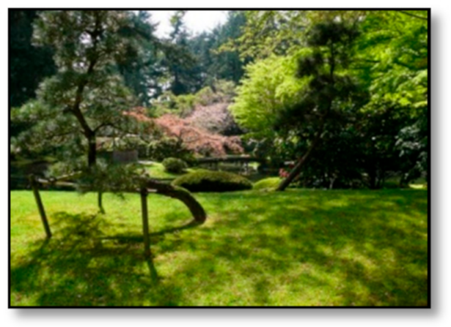 Sustainability 13 05419 i007 Sustainability 13 05419 i007