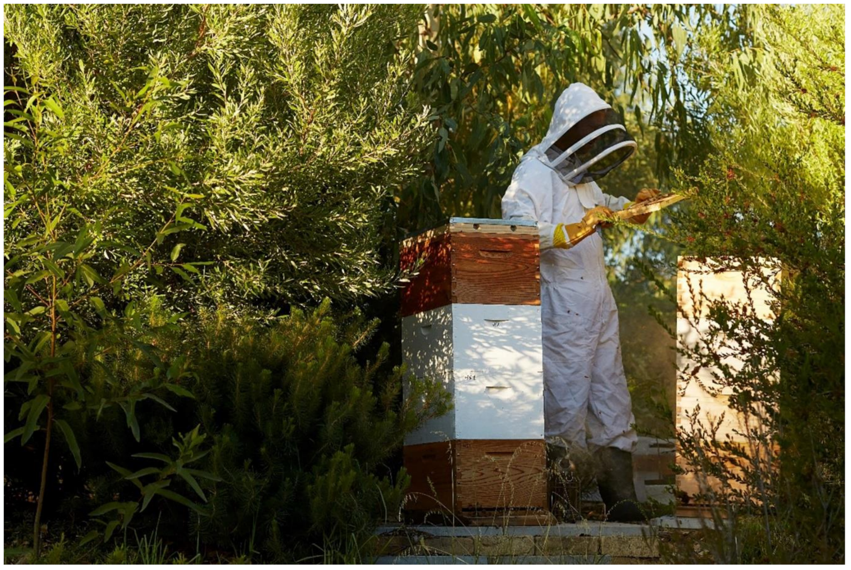 Sustainability 13 05461 g008