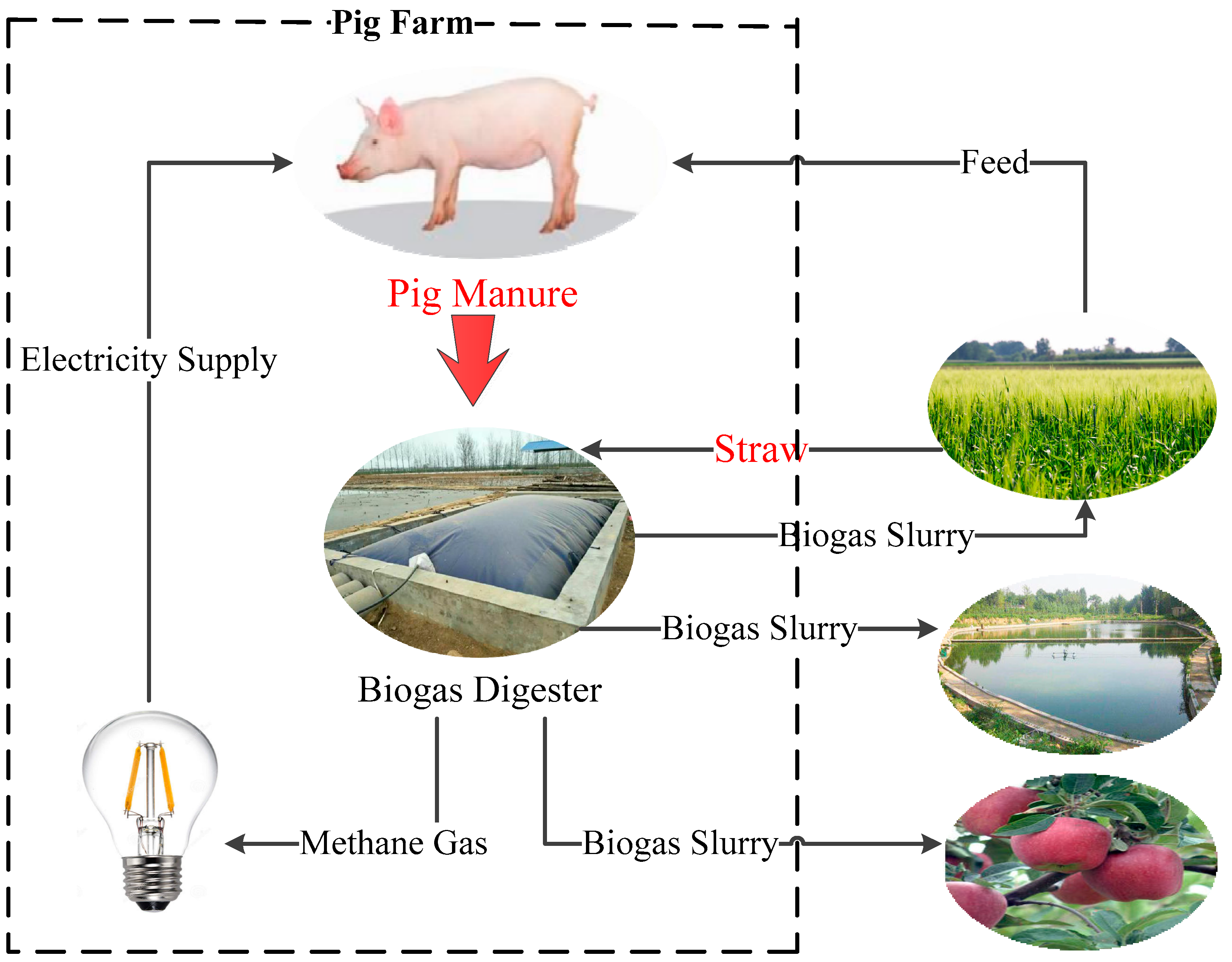 Sustainability 13 05515 g001