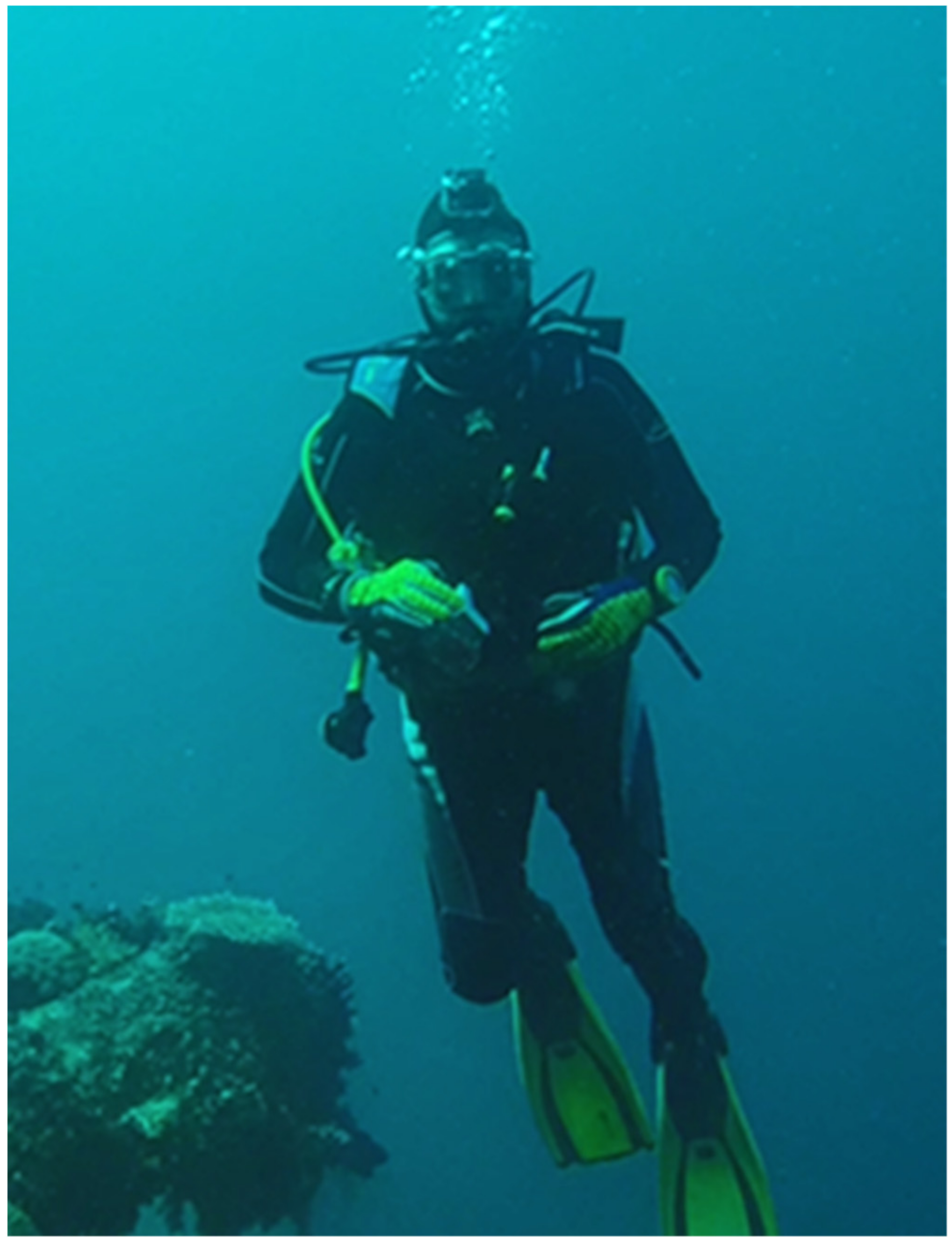 Sustainability 13 05601 g001