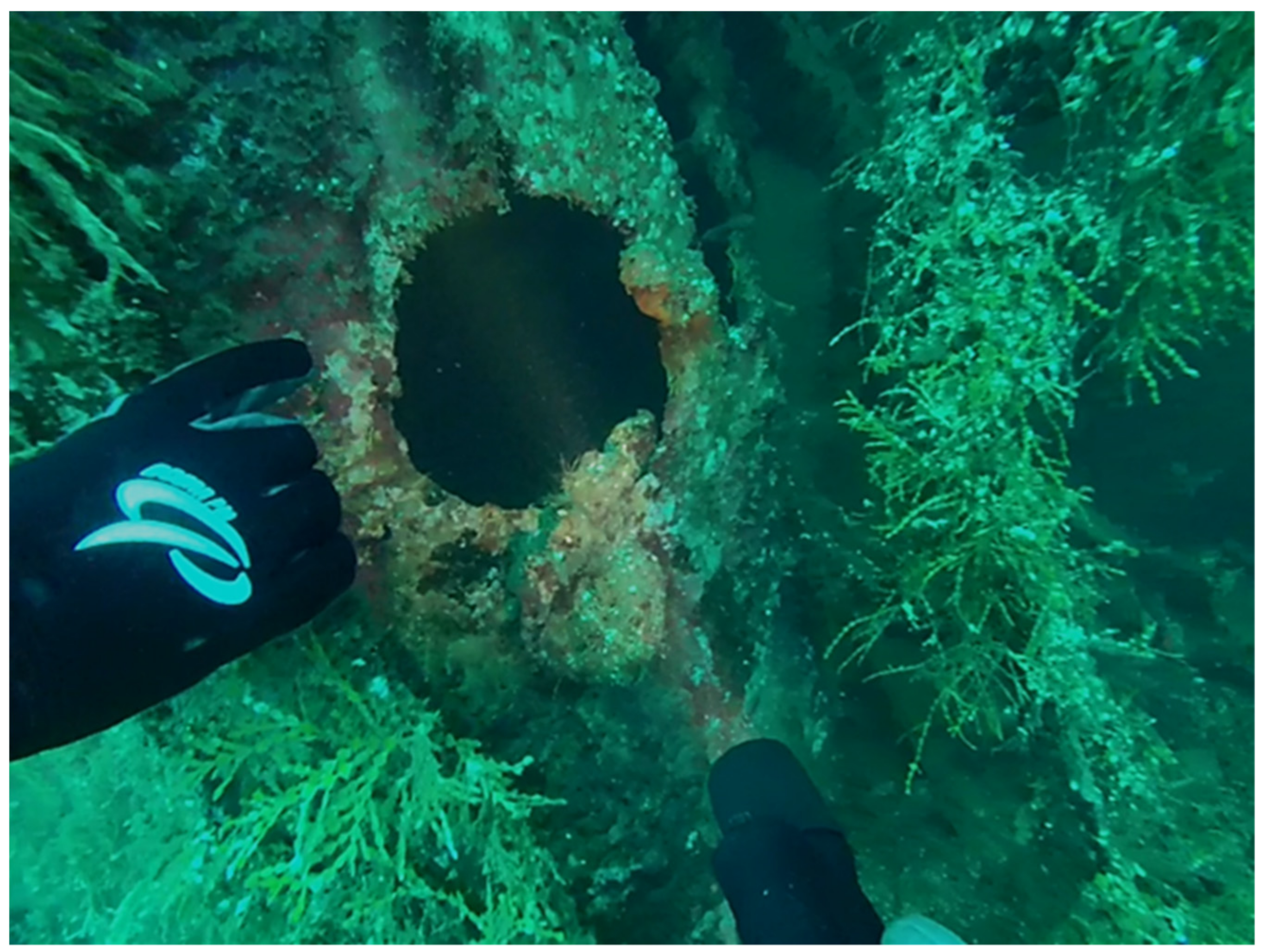 Sustainability 13 05601 g003