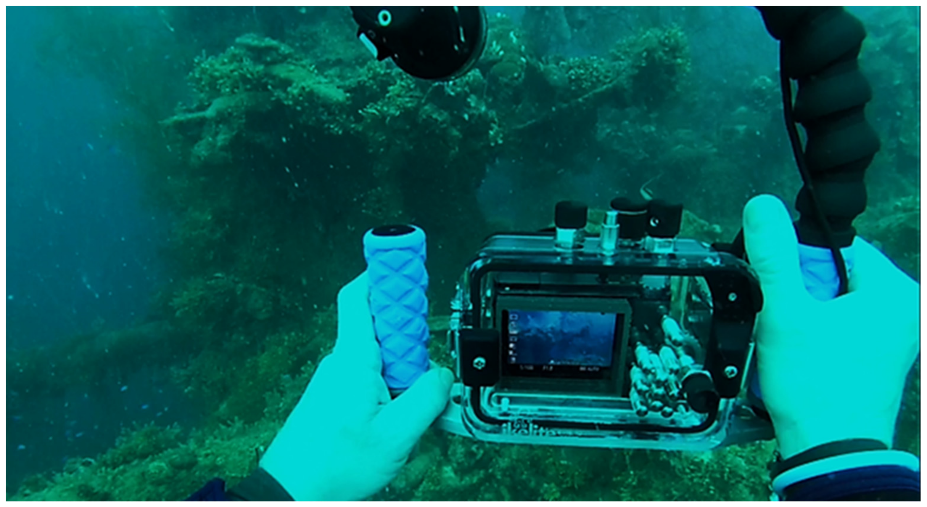 Sustainability 13 05601 g004