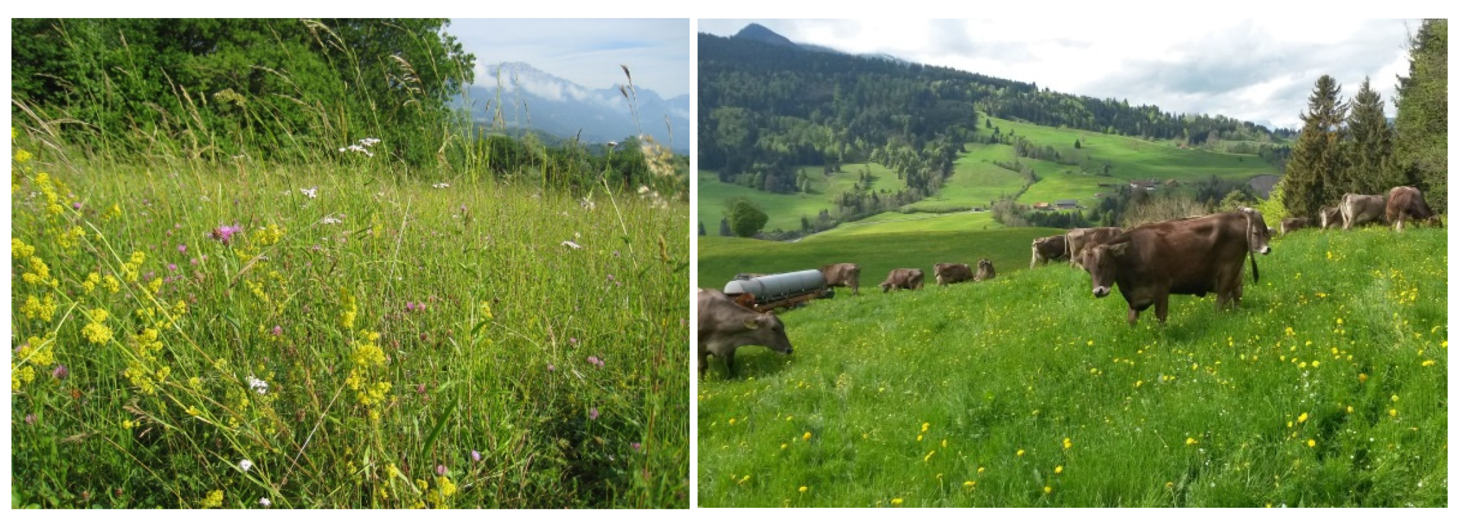 Sustainability 13 05609 g003